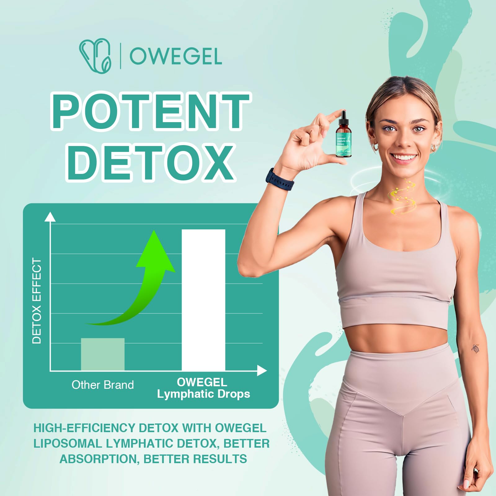owegel Liposomal Lymphatic Drainage Drops 2000mg – Immune & Lymph System Support – Lymphatic Detox and Cleanse with Echinacea, Red Clover, Dandelion & Cleavers – Sugar-Free, Alcohol-Free – 2 FL OZ - Maple Wellness Supplements