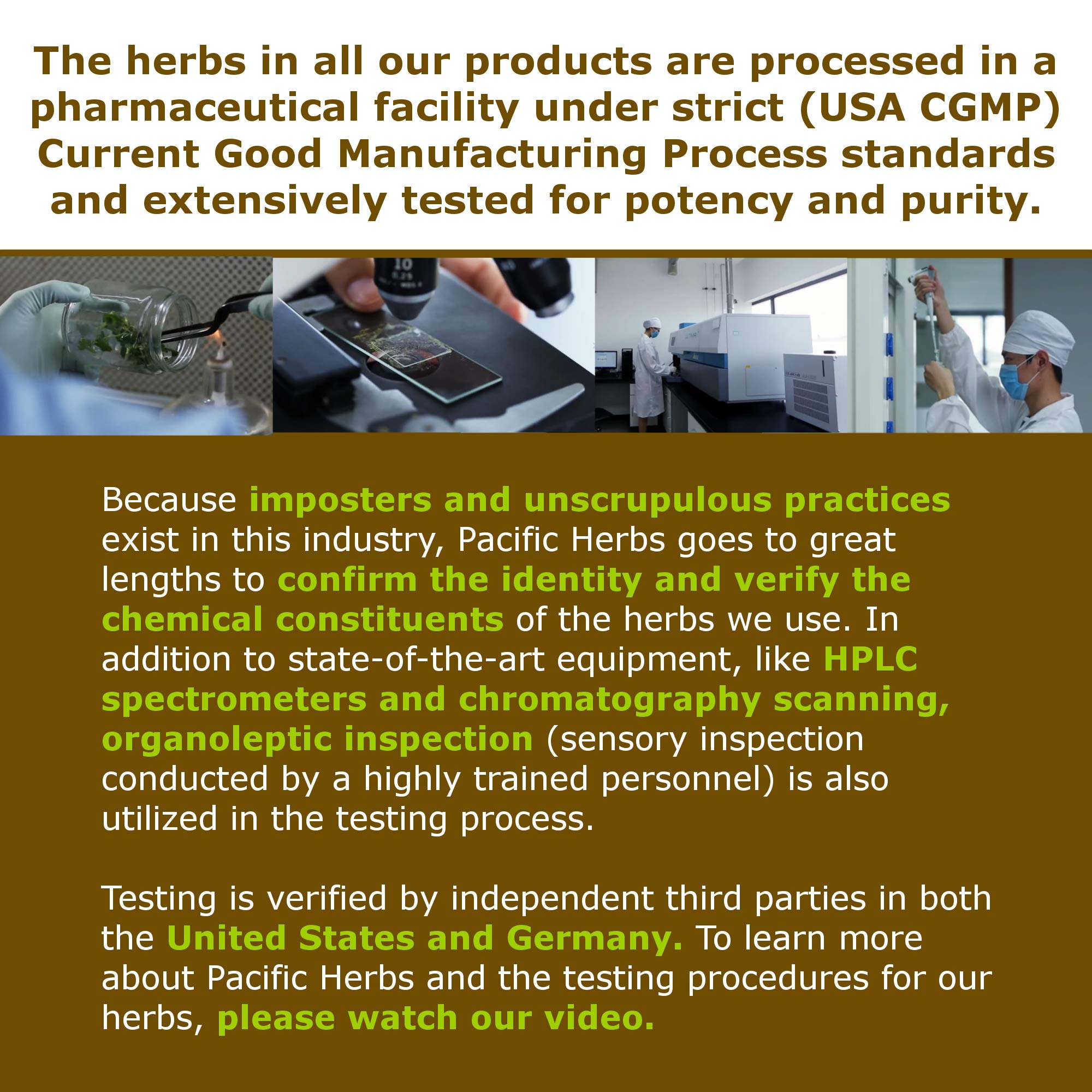 Pacific Herbs Corydalis Natural Pain Relief Herbs - TrustMedUSA