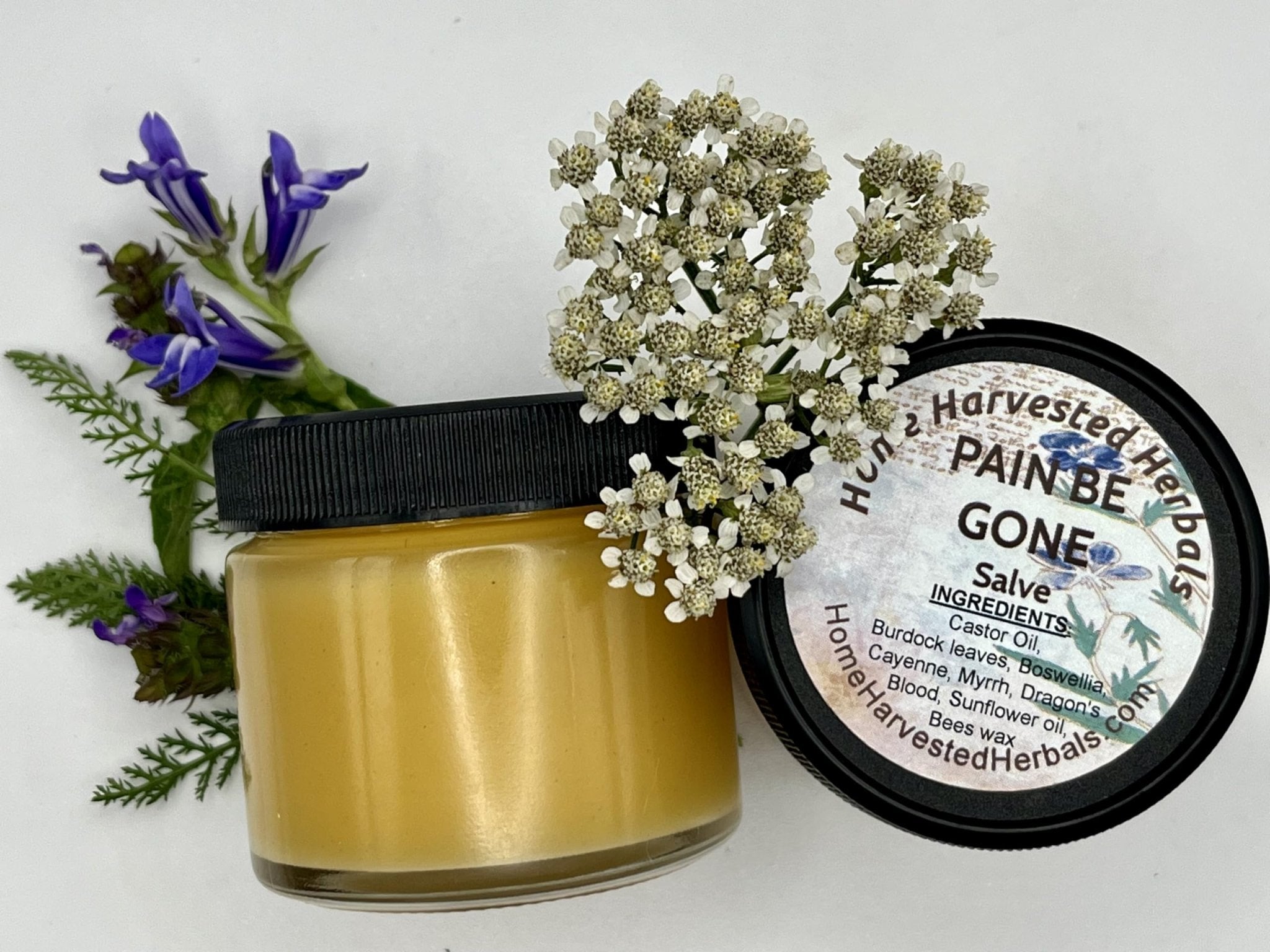 Pain Relief Herbal Salve – 2 oz – Home Harvested Herbals – Natural Relief for Aches, Muscles & Joint Discomfort - TrustMedUSA