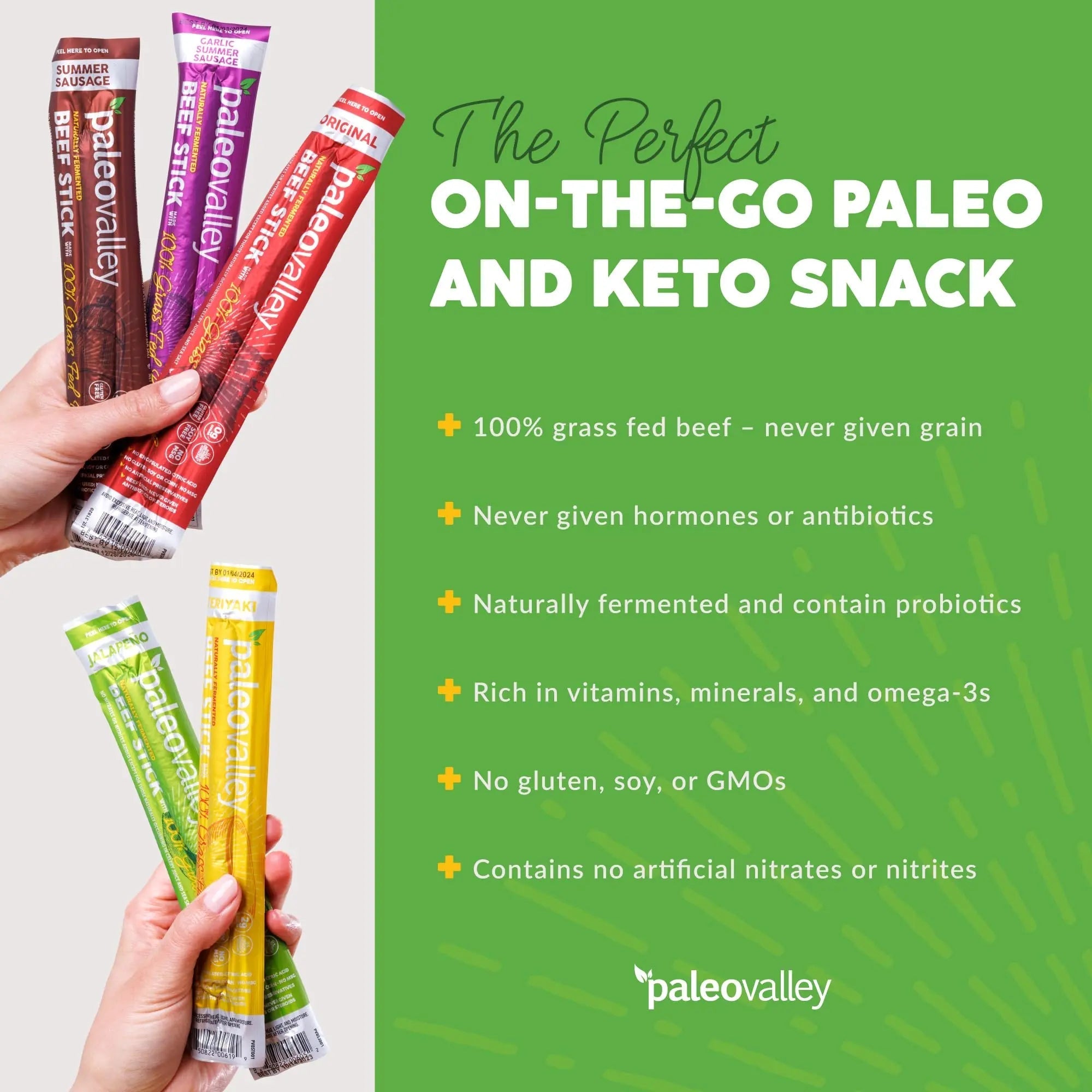 Paleovalley 100% Grass Fed Beef Sticks - Delicious Gluten Free Beef Snack - High Protein Keto Friendly, 50 Count Variety Pack - TrustMedUSA