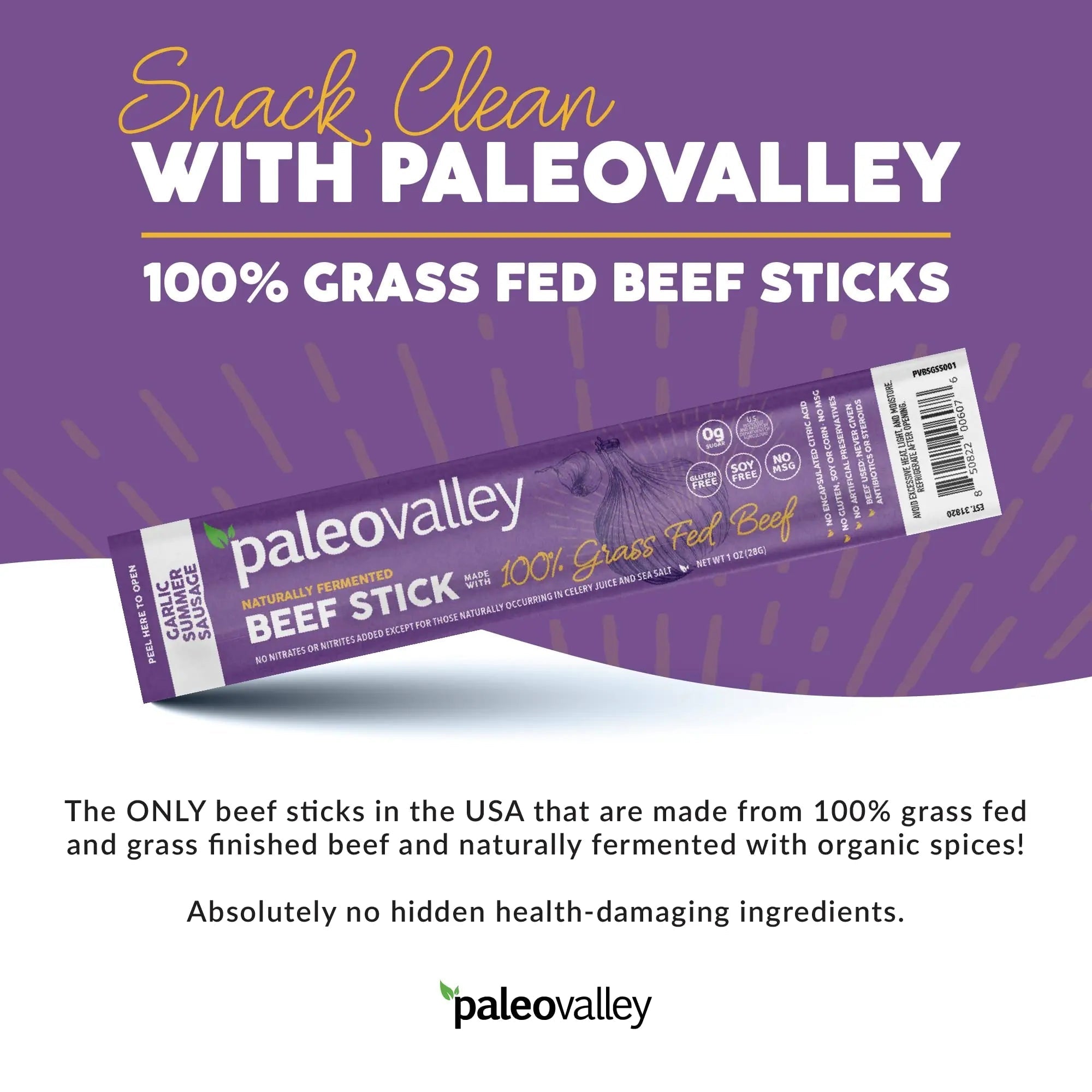 Paleovalley 100% Grass Fed Garlic Summer Sausage Beef Sticks - Delicious Gluten Free Beef Snack - High Protein Keto Friendly - TrustMedUSA