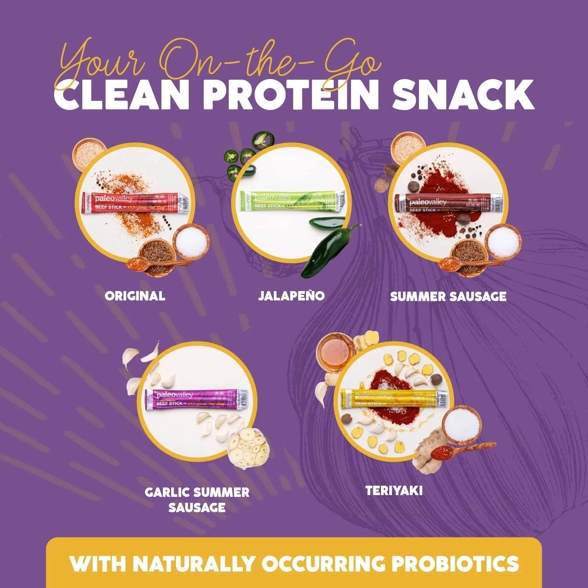 Paleovalley 100% Grass Fed Garlic Summer Sausage Beef Sticks - Delicious Gluten Free Beef Snack - High Protein Keto Friendly - TrustMedUSA