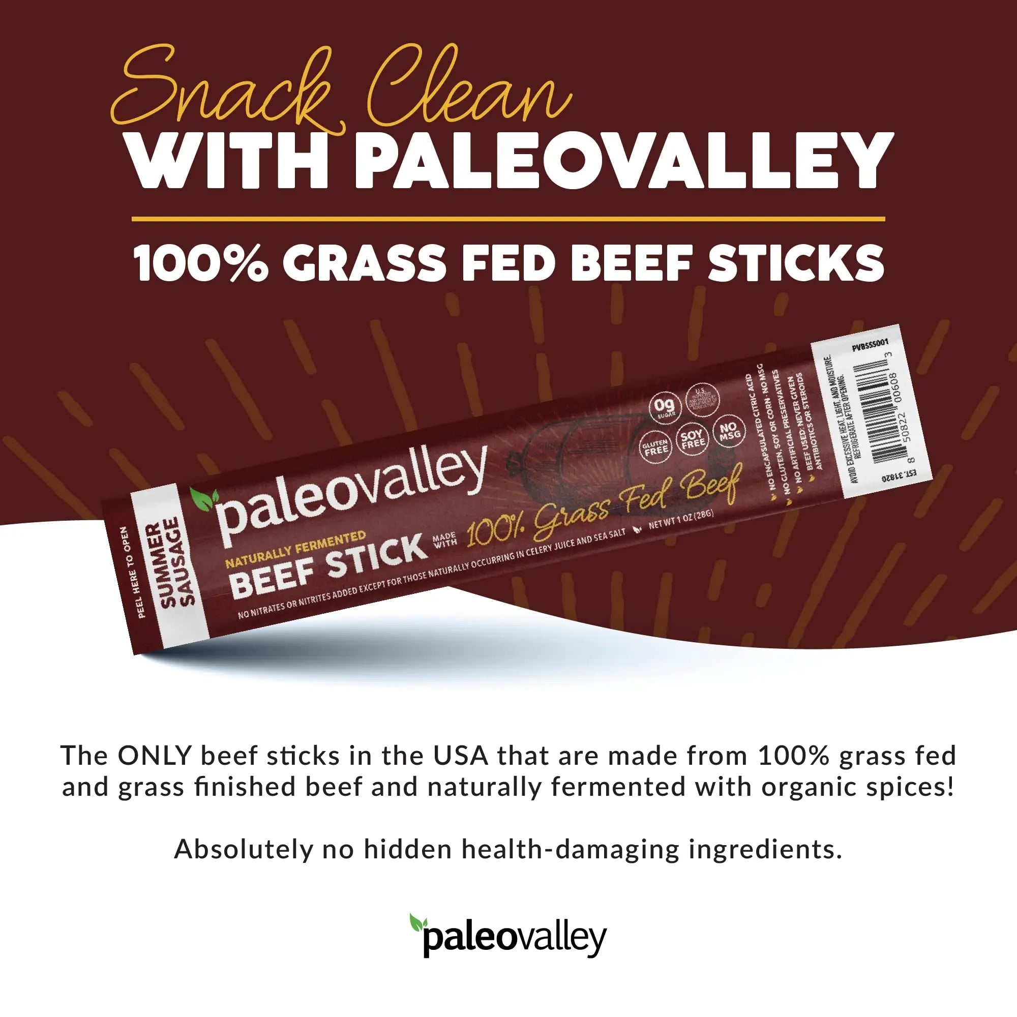 Paleovalley 100% Grass Fed Summer Sausage Beef Sticks - Delicious Gluten Free Beef Snack - High Protein Keto Friendly - TrustMedUSA