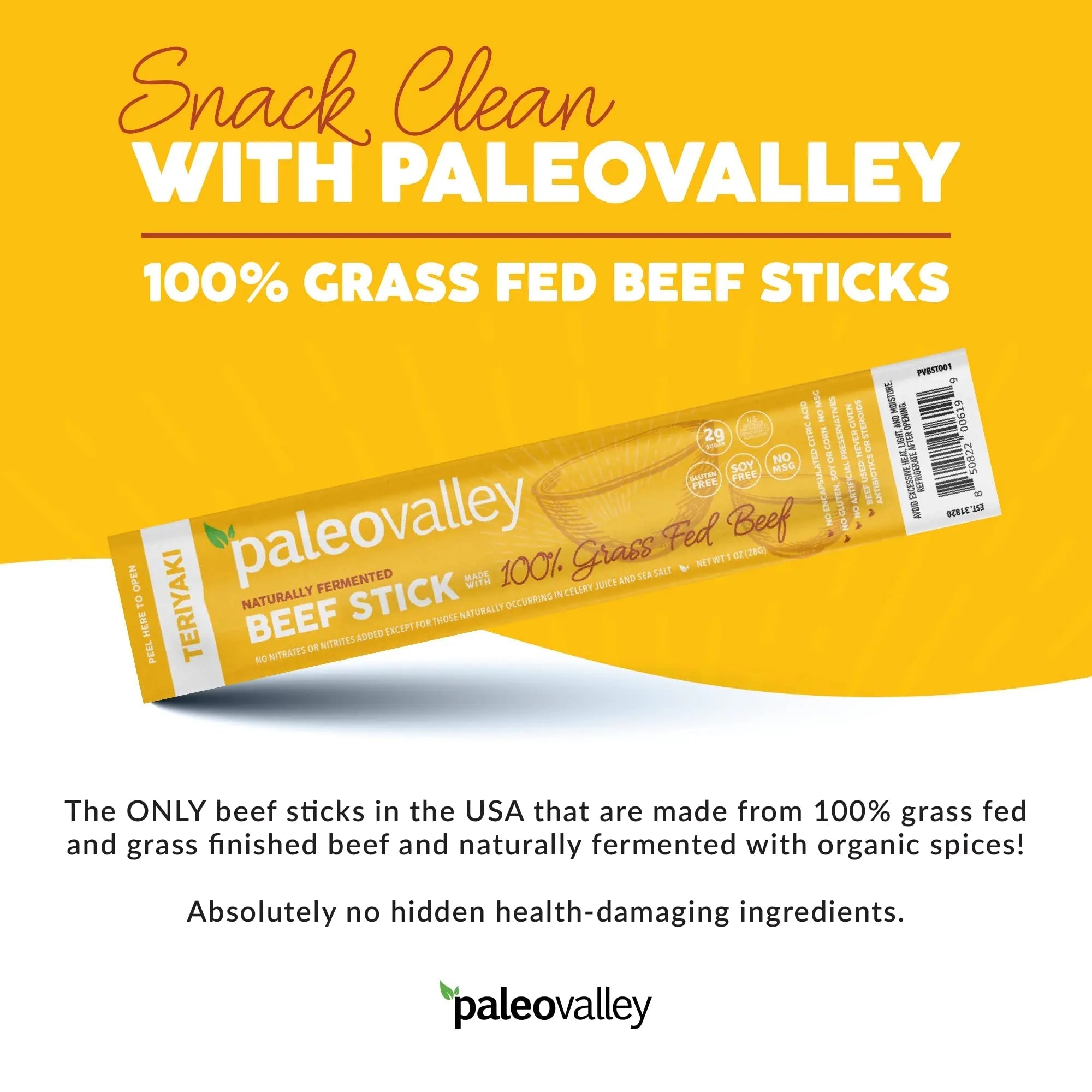 Paleovalley 100% Grass Fed Teriyaki Beef Sticks - Delicious Gluten Free Beef Snack - High Protein Keto Friendly - TrustMedUSA