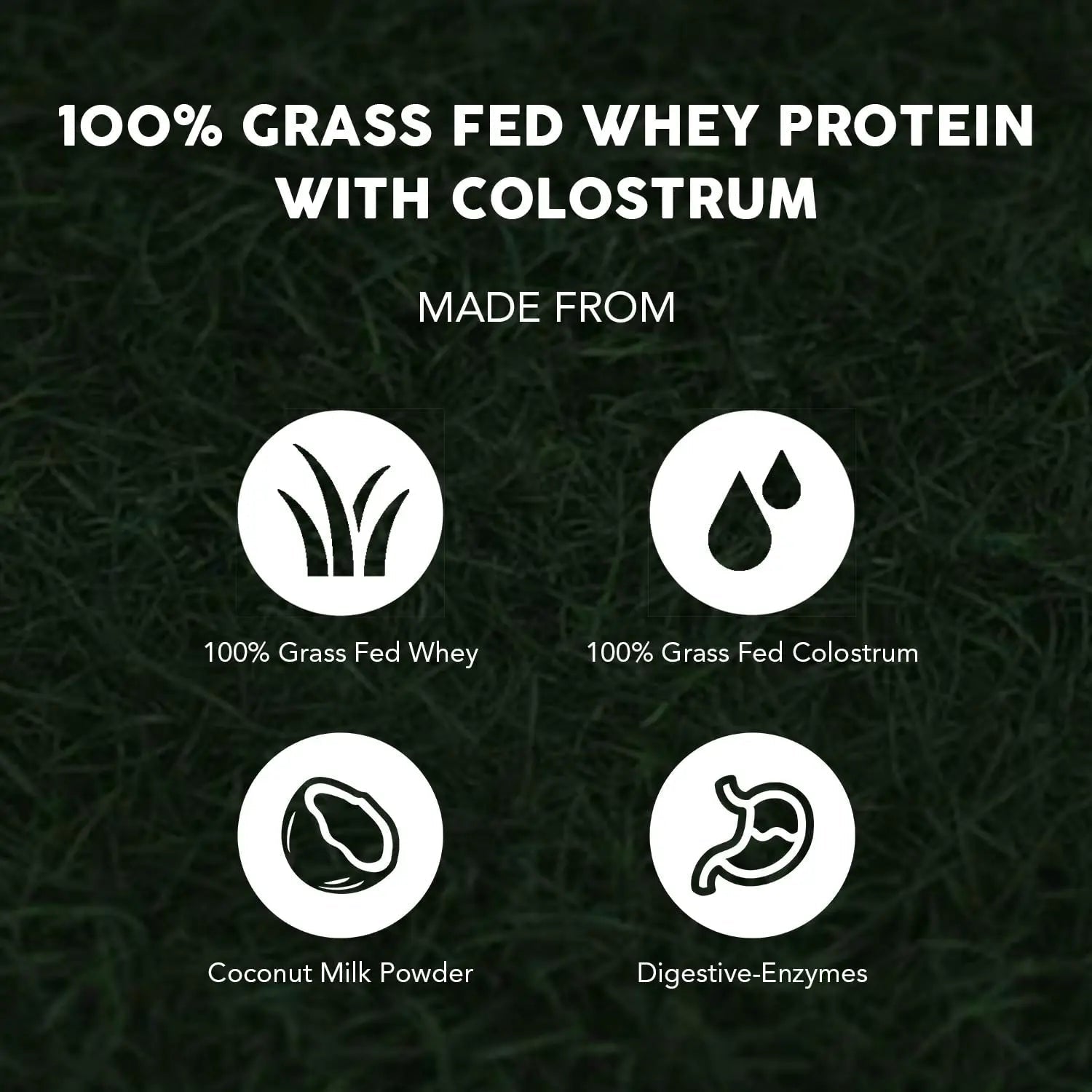 Paleovalley 100% Grassfed Whey Protein Powder with Colostrum, 30 Serving - Vanilla, 13g Protein, Muscle Building, Immune Support, Gut Health - TrustMedUSA
