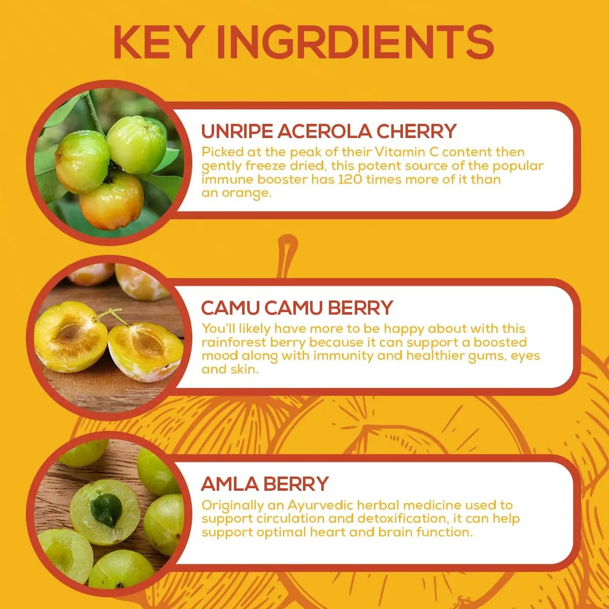 Paleovalley Essential C Complex - Vitamin C Supplement for Immune Support - 1 Pack, 450mg - Organic Superfoods Unripe Acerola Cherry, Camu Camu, Amla Berry - TrustMedUSA