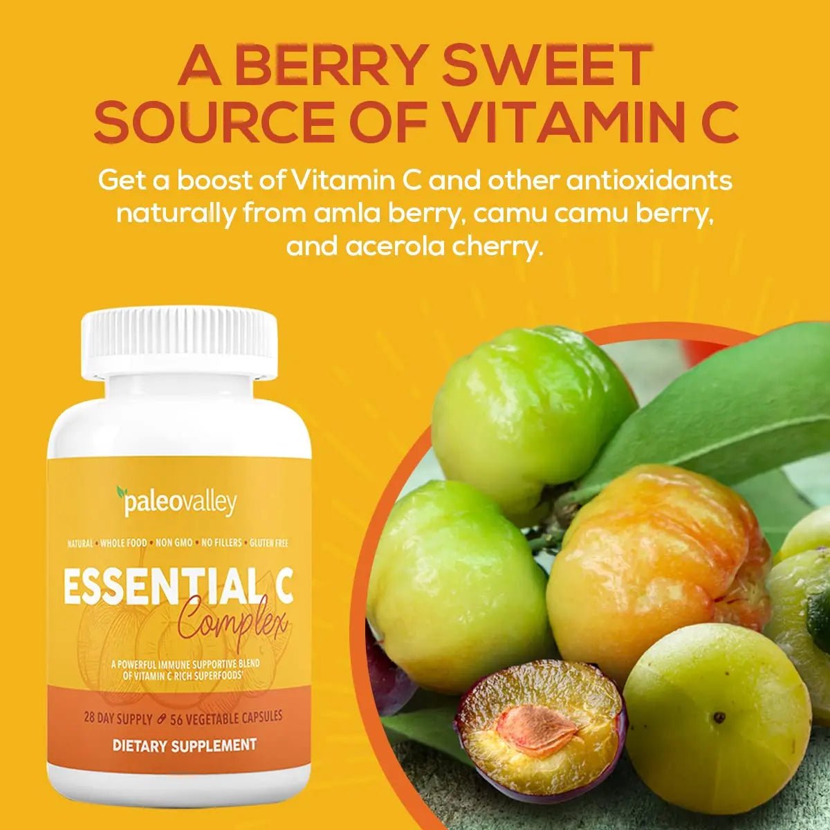 Paleovalley Essential C Complex - Vitamin C Supplement for Immune Support - 1 Pack, 450mg - Organic Superfoods Unripe Acerola Cherry, Camu Camu, Amla Berry - TrustMedUSA
