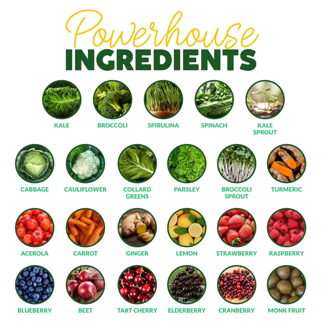 Paleovalley Organic Supergreens - Organic Greens Powder Superfood for Immune Support - Paleo Green Powder Blend - 28 Servings - 23 Superfoods - Gluten Free, No Cereal Grasses, Soy or Grain - TrustMedUSA