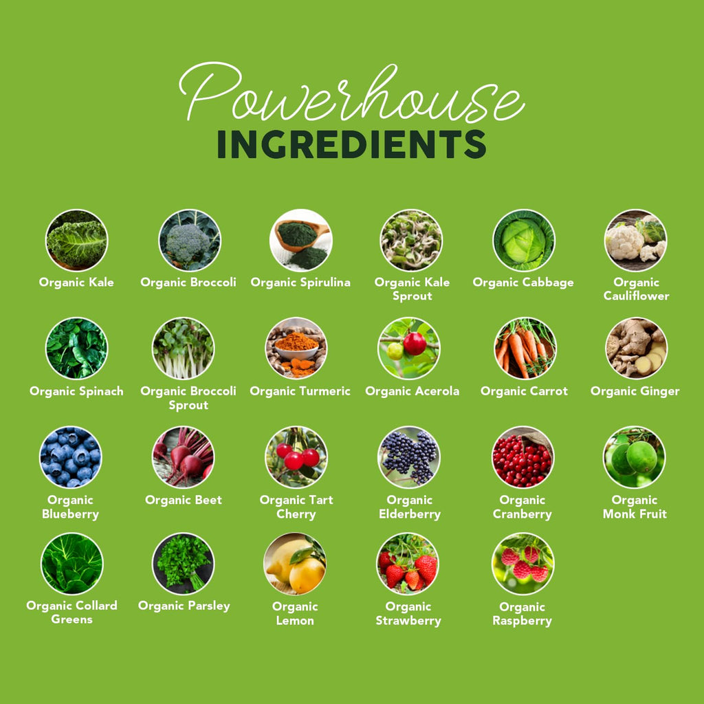 Paleovalley Organic Supergreens Powder - 23 Superfoods with Prebiotic Fiber for Energy and Immunity Support - No Cereal Grasses for Maximum Absorption - Pure Unflavored, 30 Servings - TrustMedUSA