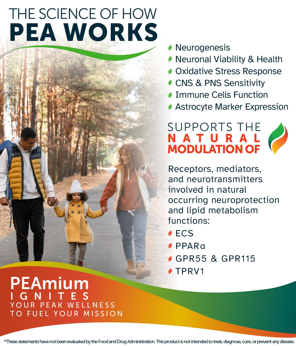 Palmitoylethanolamide 450mg Comfort Mobility Nerves Cognitive & Immune Support - Micronized High Absorption - All Natural Pea - USA Made - No Additives or Excipients – 60 Vegan Capsules Supplement - TrustMedUSA