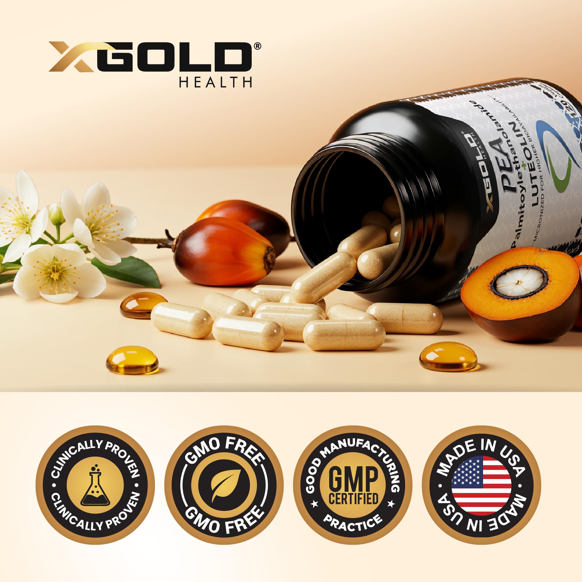Palmitoylethanolamide 630 mg + Luteolin Standardized 98%- Micronized Pea 99% Highly Purified and Bioavailable - Made in USA - Supplement for Men and Women - 120 Veggie Capsules - TrustMedUSA