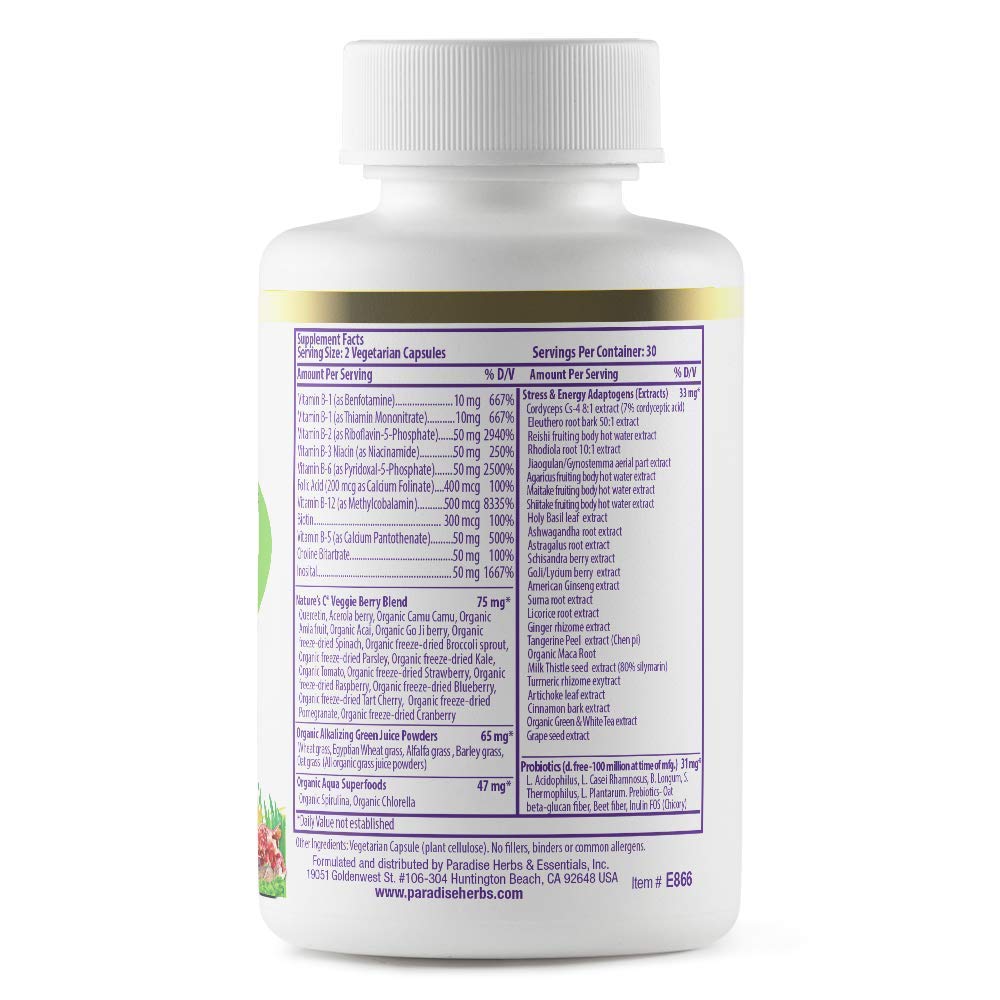 Paradise Herbs Earth's Blend Once Daily Multivitamin & B-Complex Bundle - TrustMedUSA