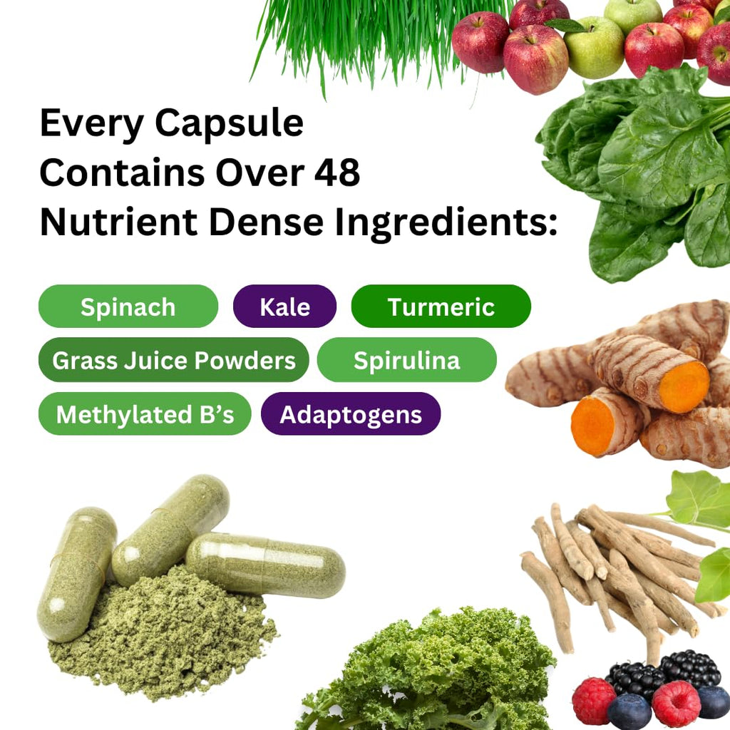 Paradise Herbs Earth's Blend Once Daily Multivitamin & B-Complex Bundle - TrustMedUSA