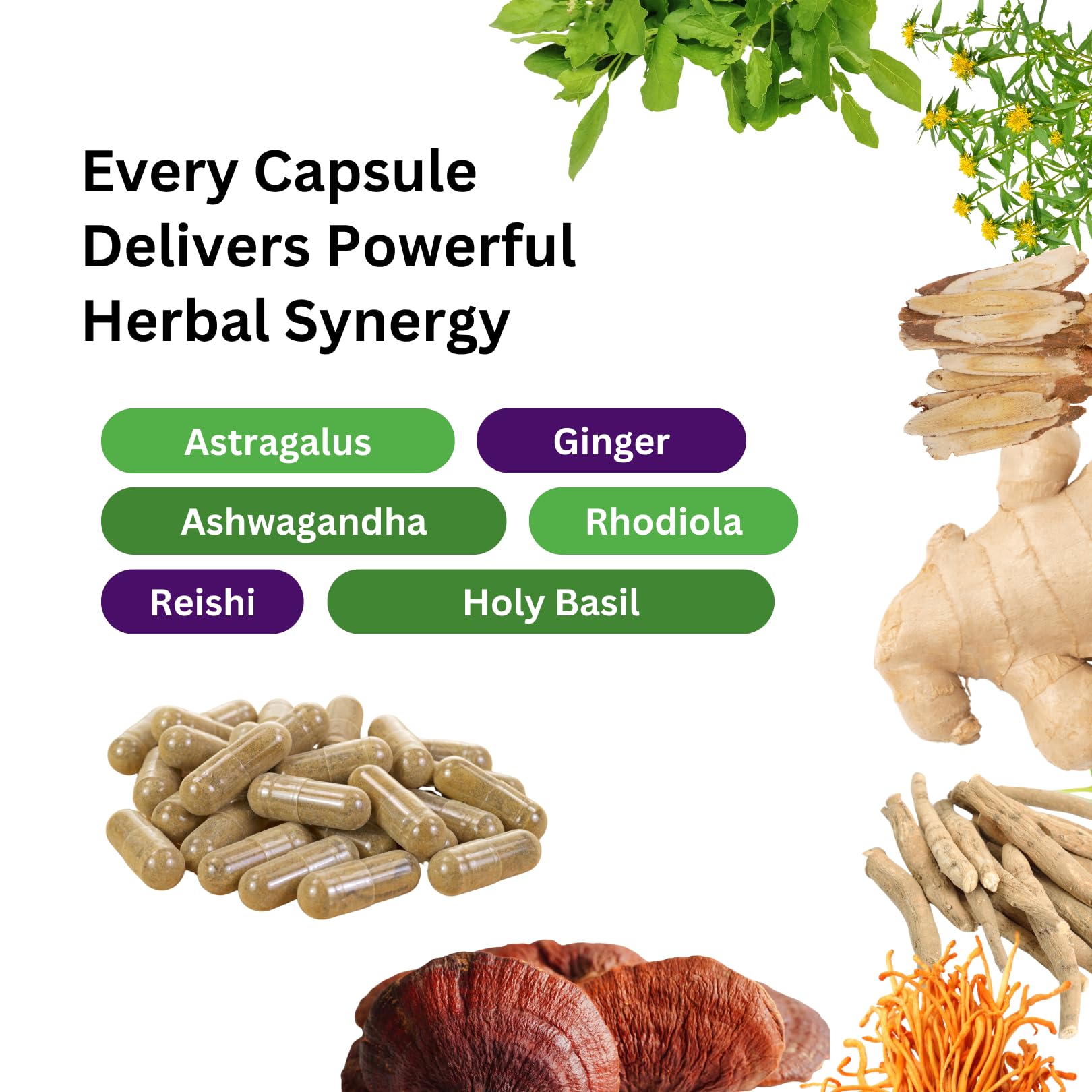 Paradise Herbs, Imperial Adaptogens, with Ashwagandha, Astragalus, Rhodiola, Proprietary Adaptogen Blend for Stress Support, Focus & Energy, 60 Vegetarian Capsules - TrustMedUSA