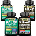 Parrox Shilajit and Sea Moss Bundle, Sea Moss 350mg, Black Seed Oil 200mg, Ashwagandha 100mg, Turmeric, Shilajit 300mg, Rhodiola Rosea 100mg, Panax Ginseng 50mg, Dynamic Vitality Bundle (2 Pack) - TrustMedUSA
