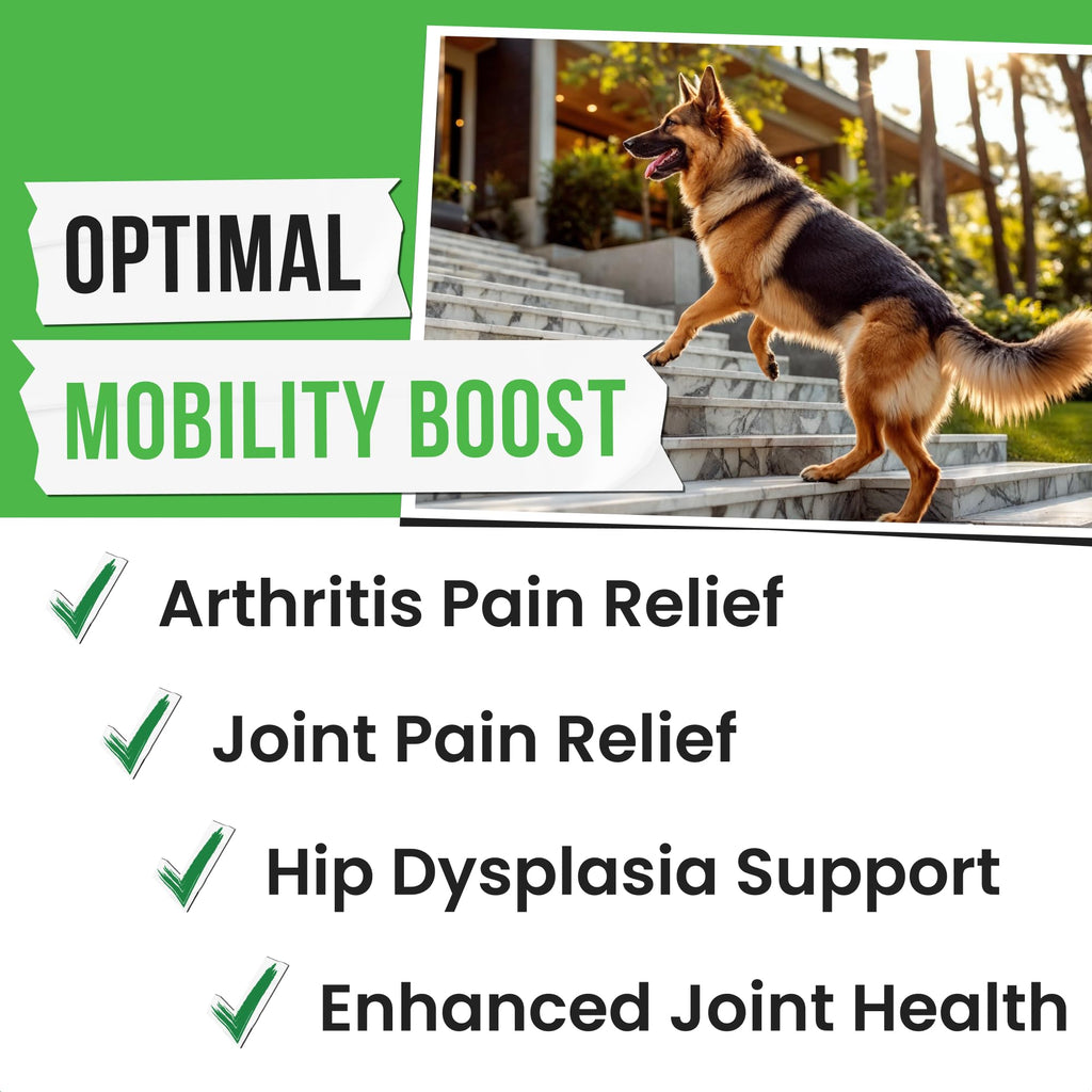 Pawsential Hemp Treats - Dog Joint Supplement - Mobility Support Chews w/Glucosamine Chondroitin, Turmeric, MSM - Hip & Joint Chews - Joint Pain Relief Treats - 120Ct - TrustMedUSA