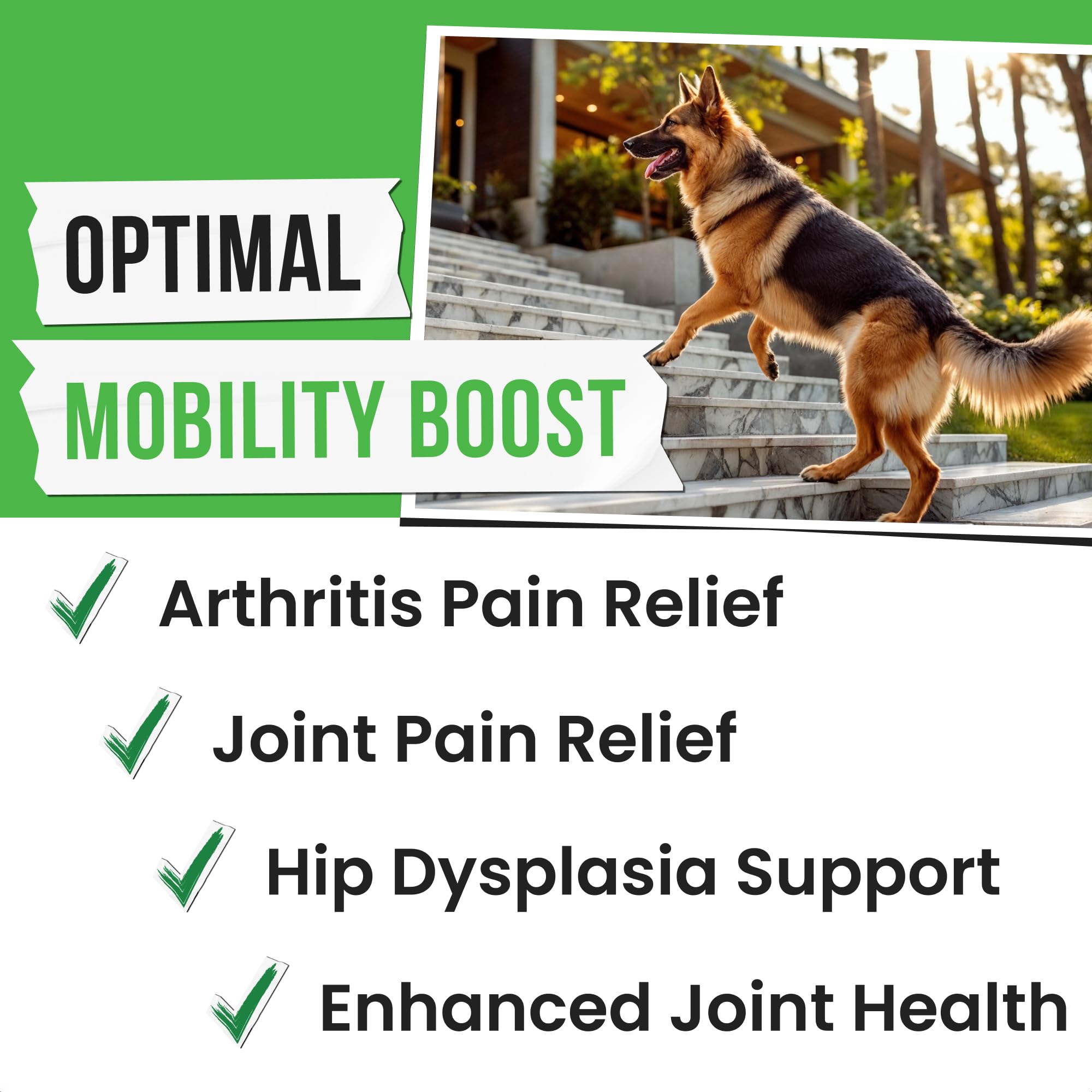 Pawsential Hemp Treats - Dog Joint Supplement - Mobility Support Chews w/Glucosamine Chondroitin, Turmeric, MSM - Hip & Joint Chews - Joint Pain Relief Treats - 120Ct - TrustMedUSA