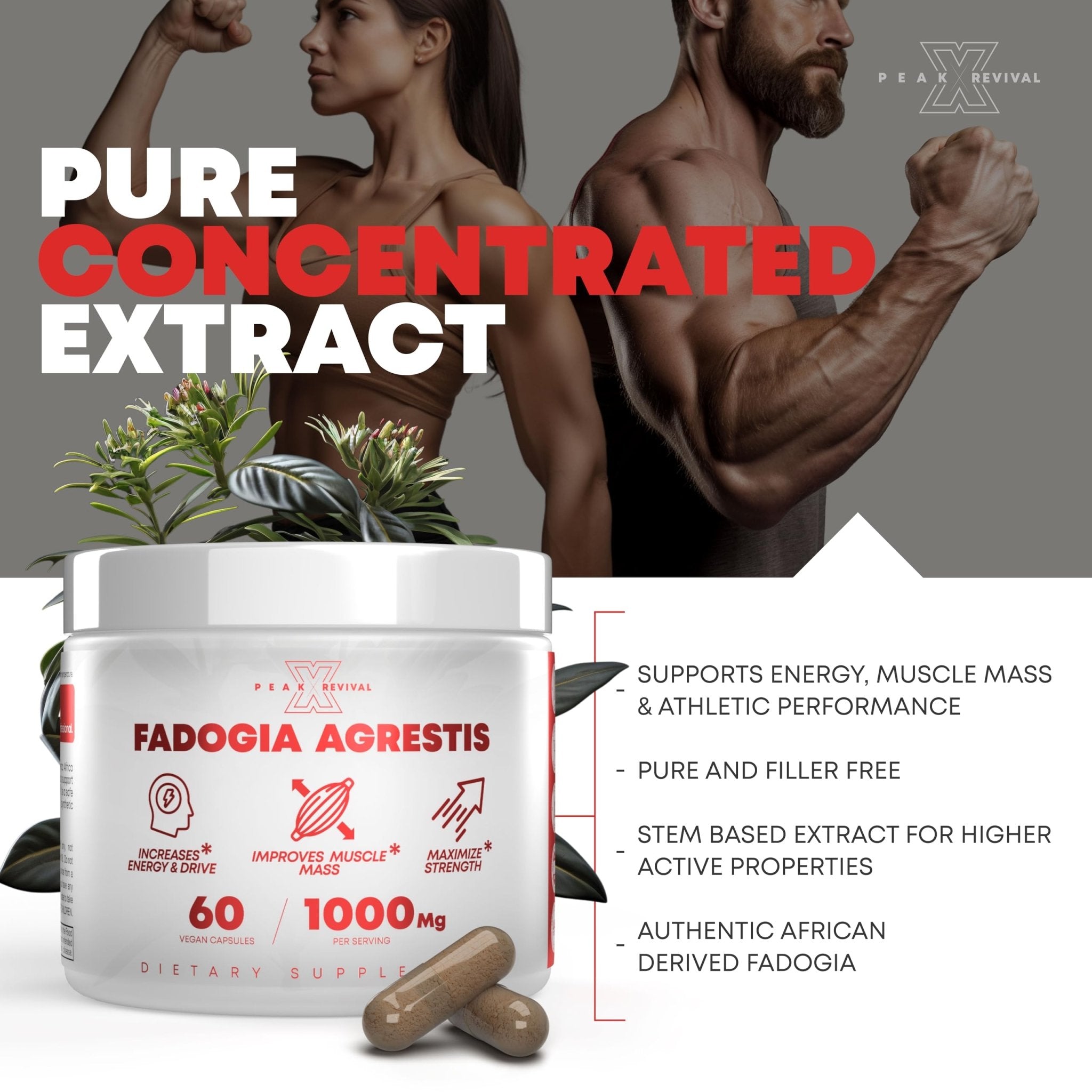 Peak Revival-X Fadogia Agrestis 1000mg Per Serving Supplement - Potent Extract to Increase Energy, Athletic Performance & Muscle Mass - Supplements, Made in The USA (60 Capsules) - TrustMedUSA