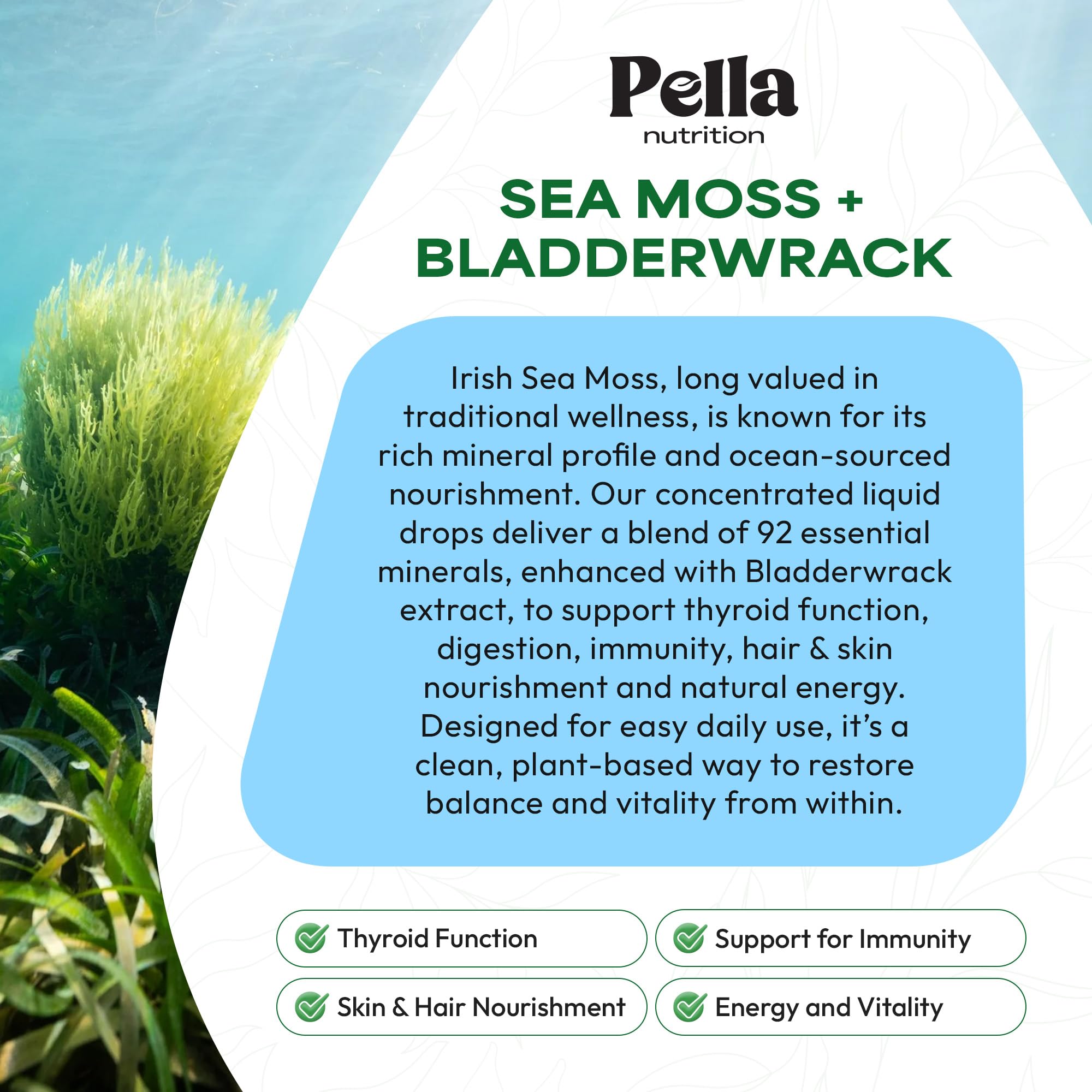 Pella Nutrition Sea Moss Drops with Bladderwrack – 4X Faster Absorption Than Irish Sea Moss Gel Superfood, Gummies, and Capsules – Digestive & Immune Support Supplement (Strawberry Lime, 60mL) - TrustMedUSA