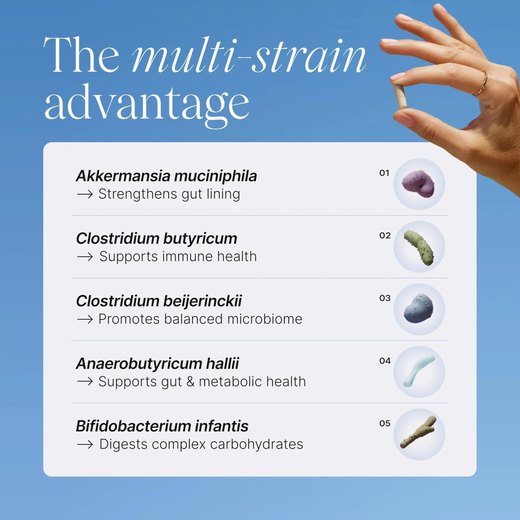 Pendulum Metabolic Daily - Multi-Strain Probiotic with Akkermansia muciniphila to Support Metabolism and Sustain Energy Levels - TrustMedUSA