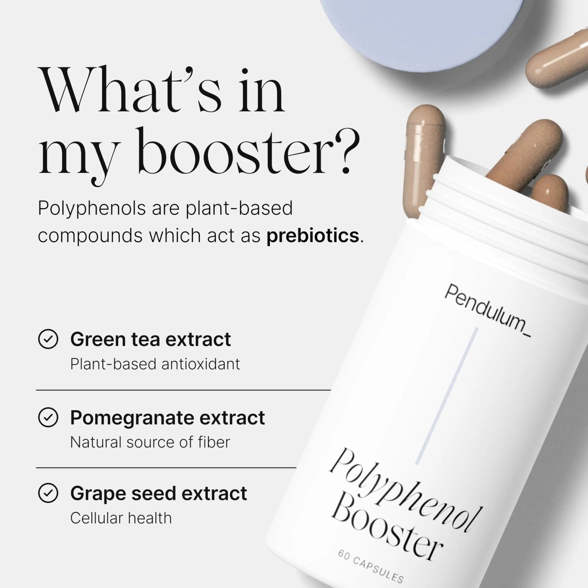 Pendulum Polyphenol Booster, Antioxidant from Superfoods, Beneficial Plant Compounds for Good Health, Helps Boost Akkermansia Muciniphila for Men & Women (60 Capsules, 1-Pack) - TrustMedUSA