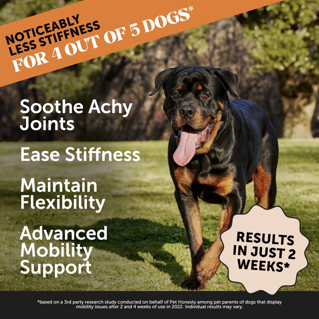 Pet Honesty Hip & Joint Health Max Strength – Dog Joint Support Chews with Glucosamine Chondroitin & Omega-3s – Joint Supplement for Dogs to Support Mobility, Flexibility & Comfort – Bacon (90 ct) - TrustMedUSA