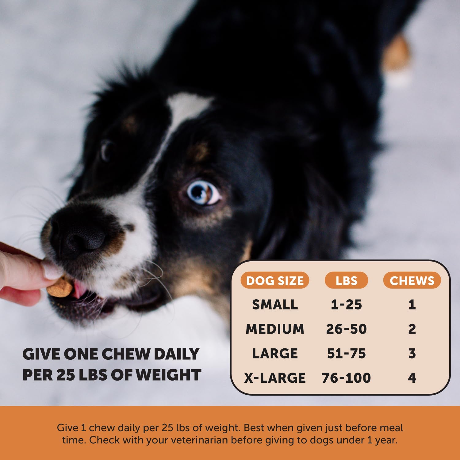 Pet Honesty Hip & Joint Health Max Strength – Dog Joint Support Chews with Glucosamine Chondroitin & Omega-3s – Joint Supplement for Dogs to Support Mobility, Flexibility & Comfort – Bacon (90 ct) - TrustMedUSA