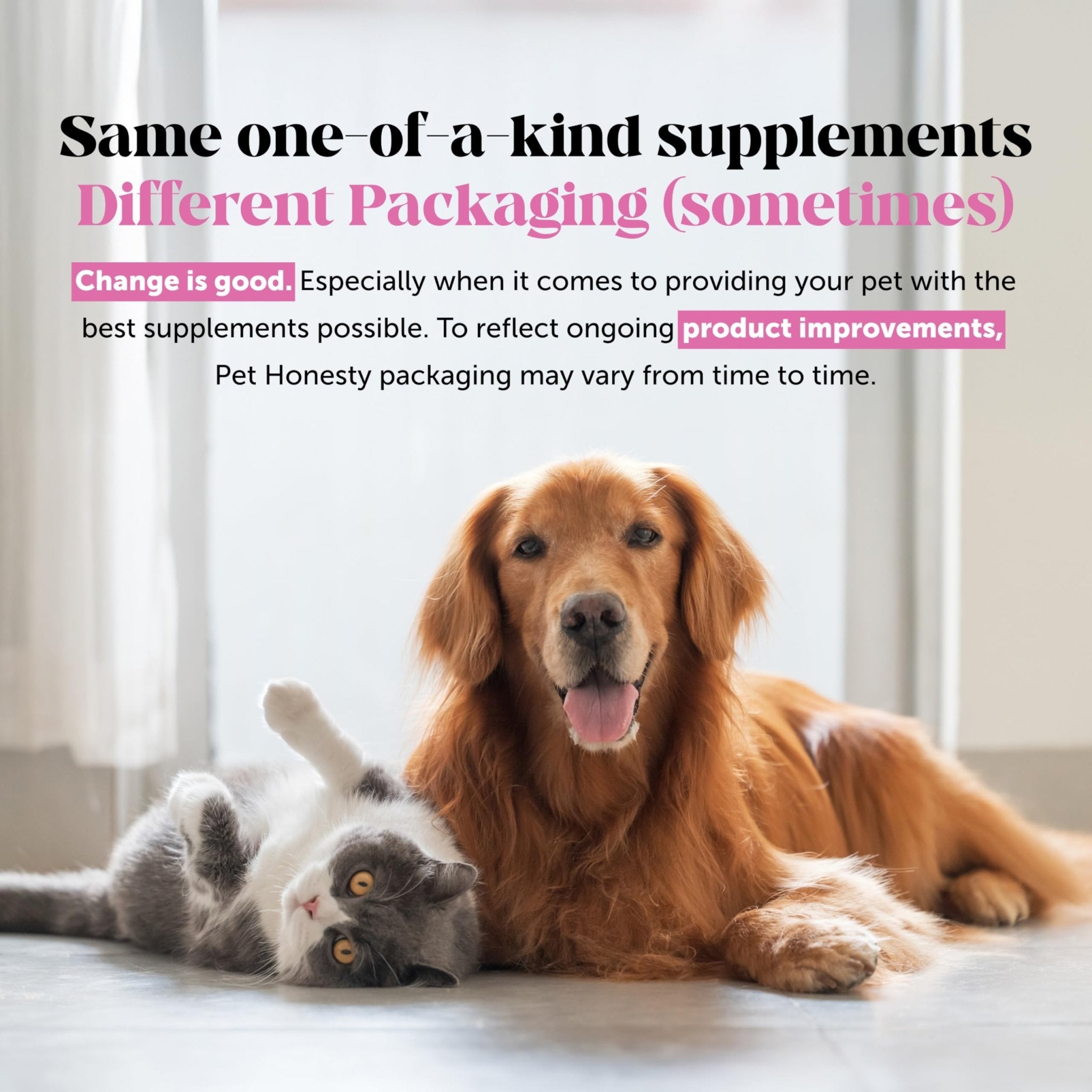 Pet Honesty Hip & Joint Health Max Strength – Dog Joint Support Chews with Glucosamine Chondroitin & Omega-3s – Joint Supplement for Dogs to Support Mobility, Flexibility & Comfort – Bacon (90 ct) - TrustMedUSA