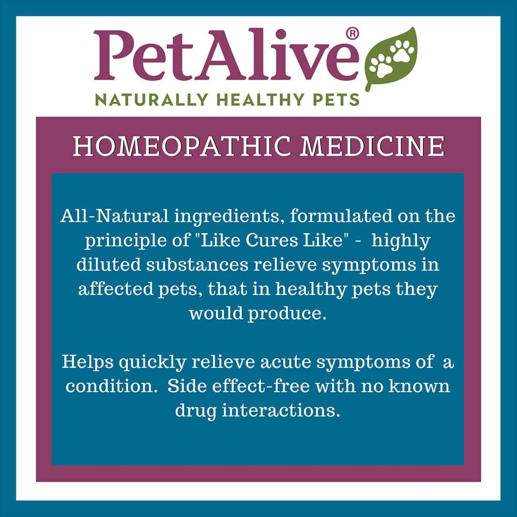 PetAlive Muscle and Joint Support-M - Natural Homeopathic Formula for Joint Pain and Stiffness in Pets - Supports Joint Health and Movement in Dogs and Cats - 59 mL - TrustMedUSA