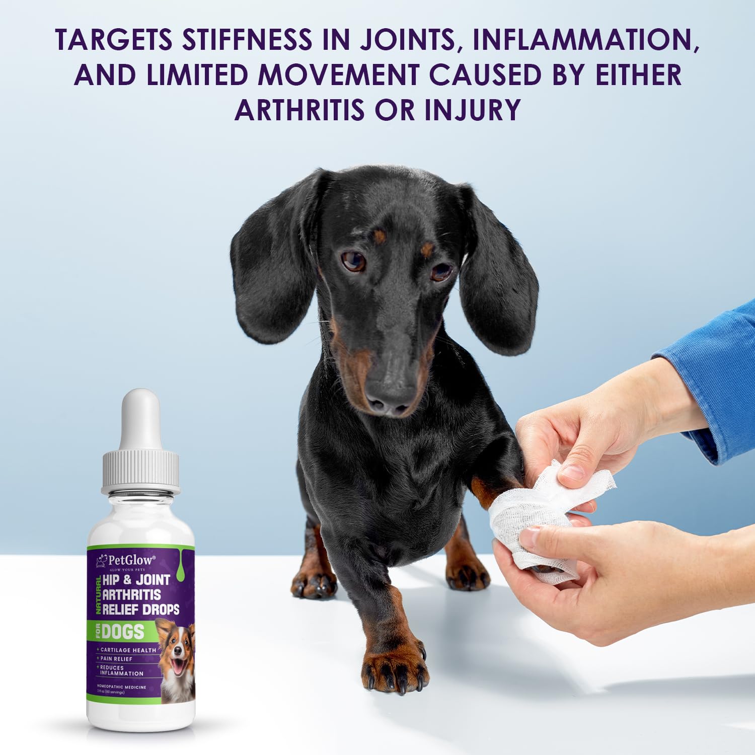 Petglow® Natural Hip & Joint Arthritis Relief Drops with Curcumin & Boswellia, Homeopathic Anti-Inflammatory Formula for Dogs, Cats & Horses, Supports Flexibility, Comfort & Mobility Naturally - TrustMedUSA