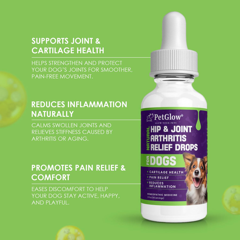 Petglow® Natural Hip & Joint Arthritis Relief Drops with Curcumin & Boswellia, Homeopathic Anti-Inflammatory Formula for Dogs, Cats & Horses, Supports Flexibility, Comfort & Mobility Naturally - TrustMedUSA