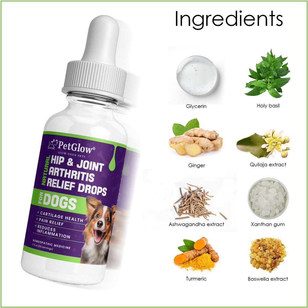 Petglow® Natural Hip & Joint Arthritis Relief Drops with Curcumin & Boswellia, Homeopathic Anti-Inflammatory Formula for Dogs, Cats & Horses, Supports Flexibility, Comfort & Mobility Naturally - TrustMedUSA