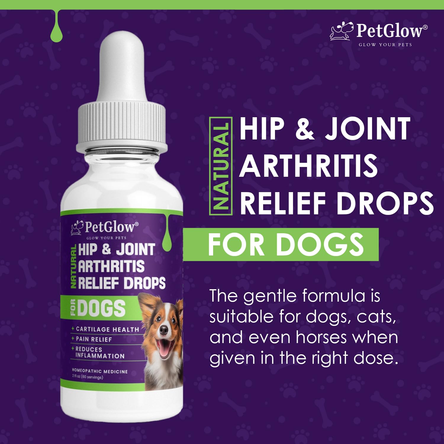Petglow® Natural Hip & Joint Arthritis Relief Drops with Curcumin & Boswellia, Homeopathic Anti-Inflammatory Formula for Dogs, Cats & Horses, Supports Flexibility, Comfort & Mobility Naturally - TrustMedUSA