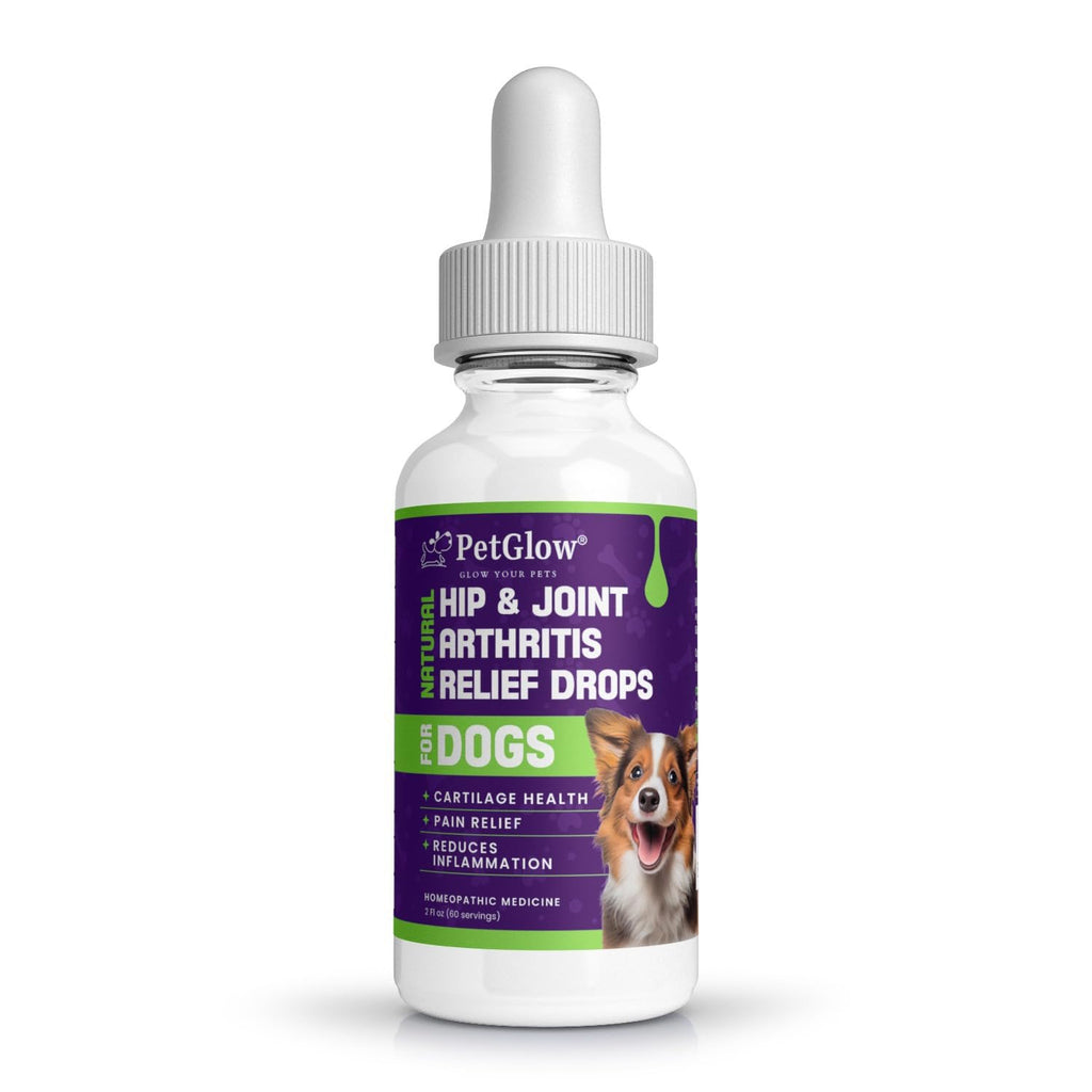 Petglow® Natural Hip & Joint Arthritis Relief Drops with Curcumin & Boswellia, Homeopathic Anti-Inflammatory Formula for Dogs, Cats & Horses, Supports Flexibility, Comfort & Mobility Naturally - TrustMedUSA