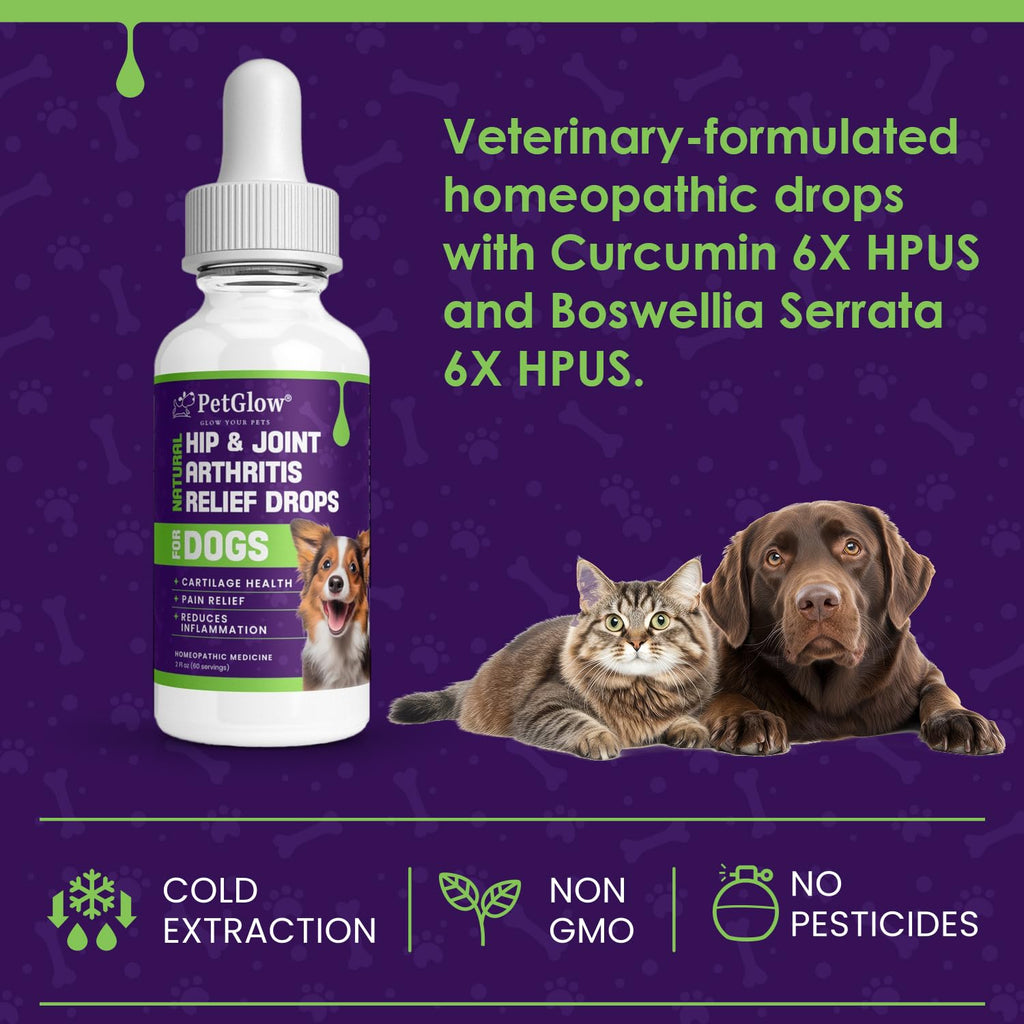 Petglow® Natural Hip & Joint Arthritis Relief Drops with Curcumin & Boswellia, Homeopathic Anti-Inflammatory Formula for Dogs, Cats & Horses, Supports Flexibility, Comfort & Mobility Naturally - TrustMedUSA