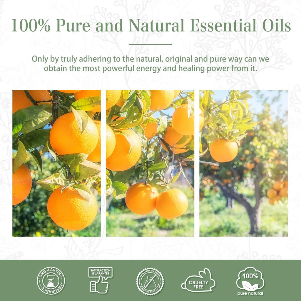 PHATOIL Sweet Orange Essential Oil 100ML, Pure Premium Grade Sweet Orange Essential - TrustMedUSA
