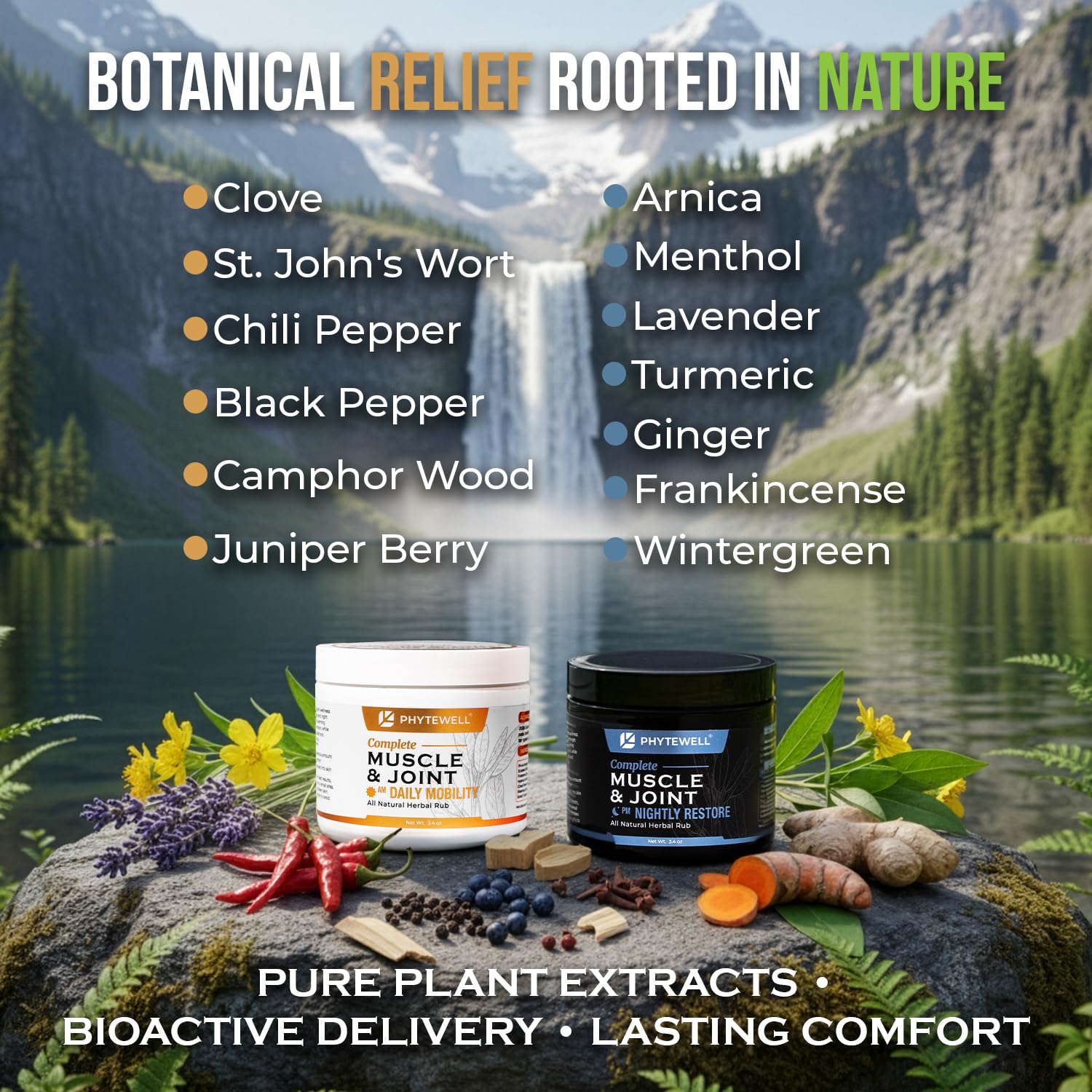 PHYTEWELL Muscle & Joint Rub Balm - Day & Night Pain Relief for Back, Knee, & Shoulder - Crafted with Arnica, Clove & Black Pepper to Support Recovery & Relaxation – Premium Non-Greasy Texture - TrustMedUSA