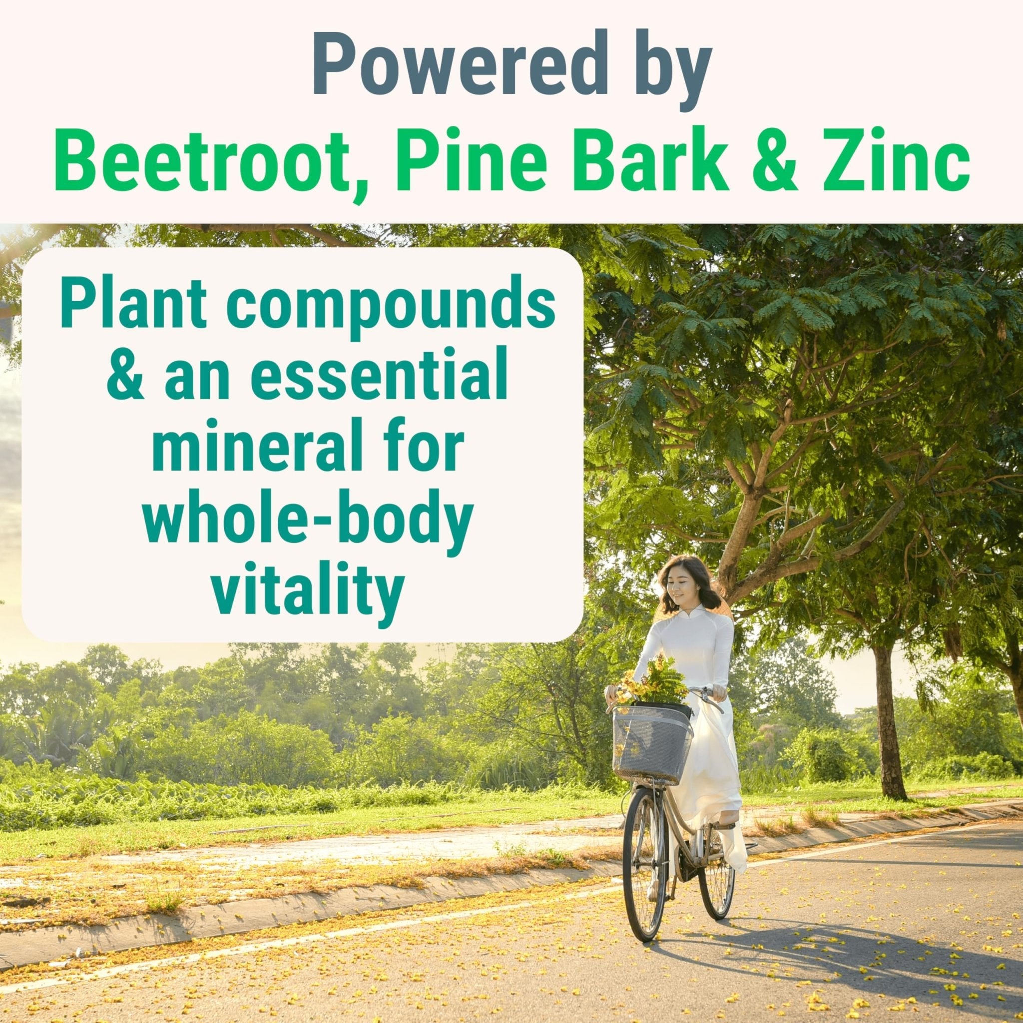 Pine Bark Extract L-Arginine L-Citrulline Beetroot Probiotic Fiber Methylated B Complex Zinc Gummies for Women Men Adults Kids w. Chicory Root Inulin 5-MTHF B6 P5P Powder Capsule Pill Supplement Alt - TrustMedUSA