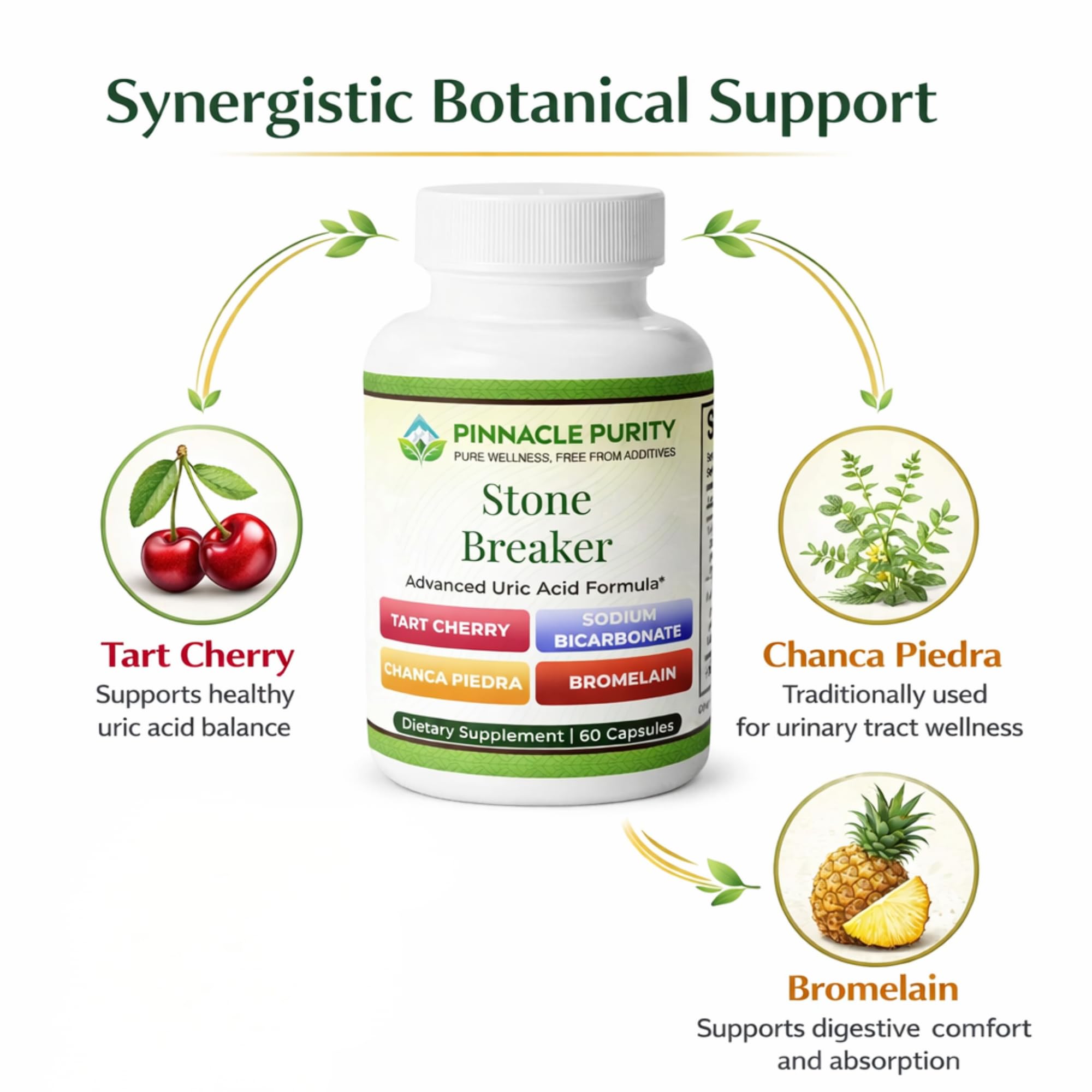 Pinnacle Purity Stone Breaker 60 Capsules, With Chanca Piedra, Tart Cherry & Bromelain – Supports Kidney & Liver Balance, Promotes Gentle Stone Management, Enhances Natural Cleansing Pathways, Non-GMO - TrustMedUSA