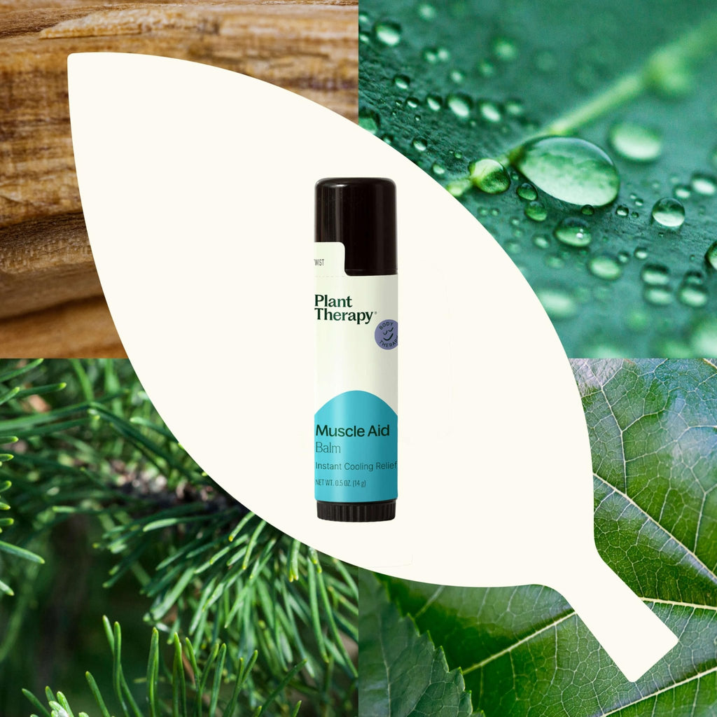 Plant Therapy Muscle Aid Balm .5 oz Soft & Creamy Balm, Cooling Relief, Natural Ingredients - TrustMedUSA