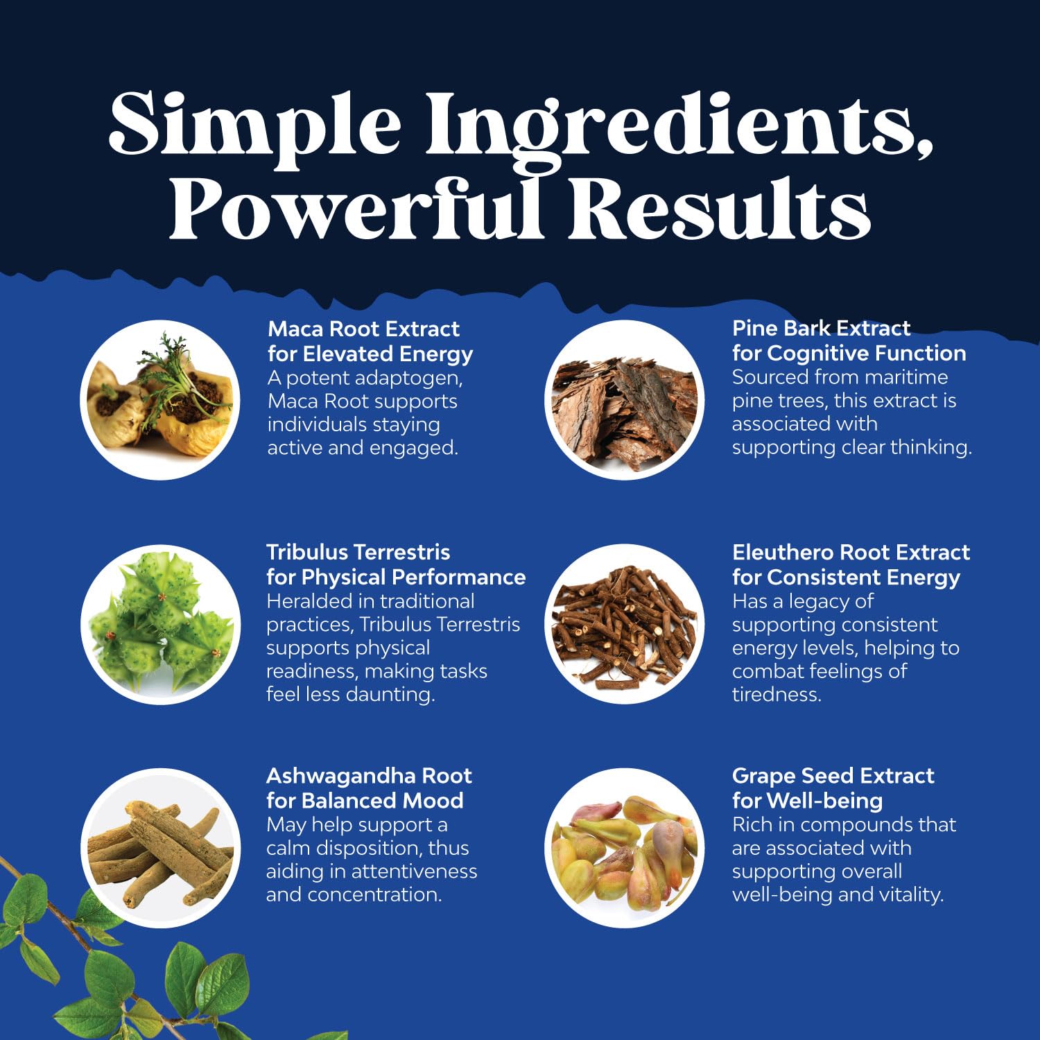 Potent Black Maca Root Capsules for Men - Herbal Wellness Supplement with Siberian Ginseng Ashwagandha and Black Maca Root - Men’s Wellness Supplement to Support General Health - 120 Count - TrustMedUSA