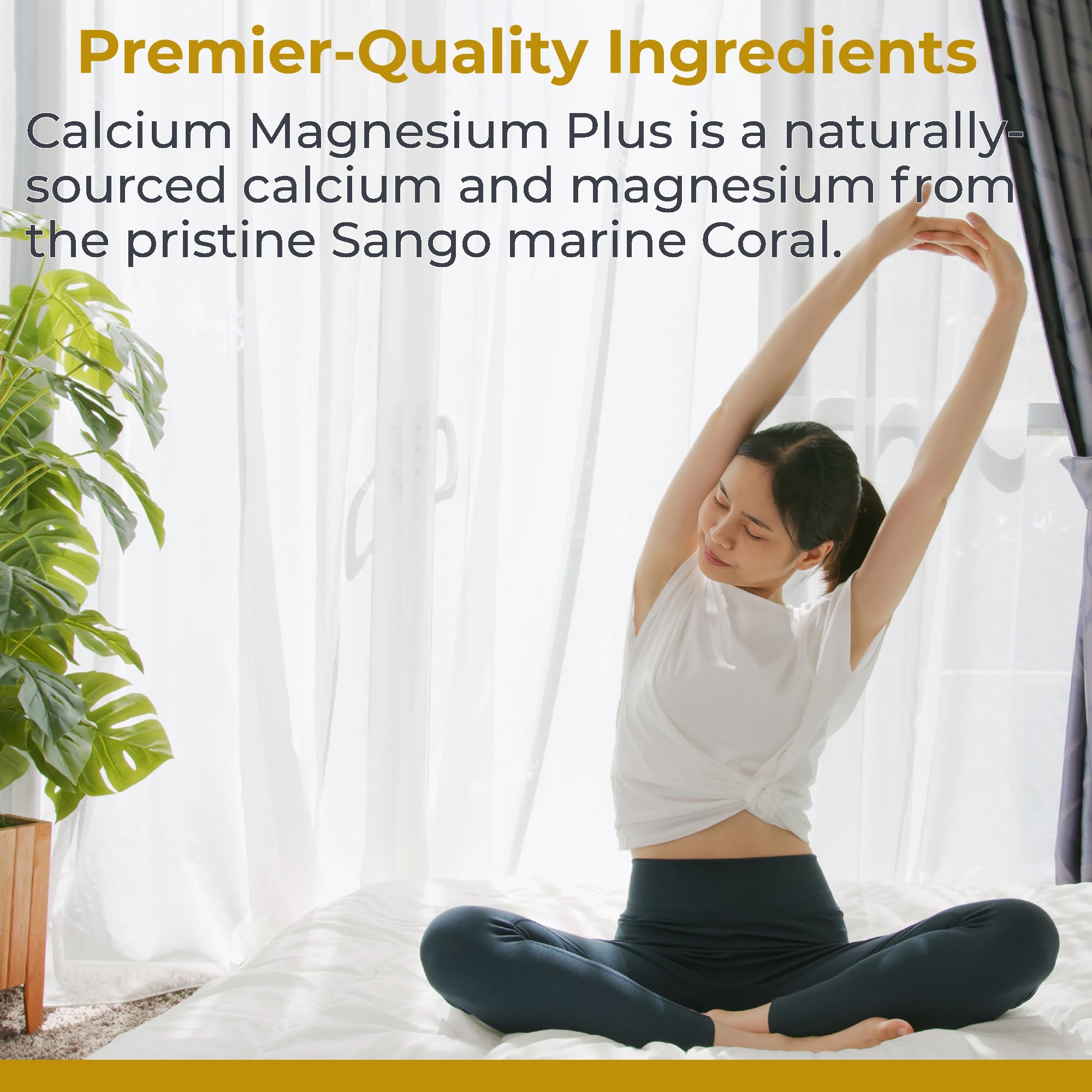 Premier Research Labs Calcium Magnesium Plus - Calcium Magnesium Supplement, Calcium Supplement for Bone Health, with Mushroom Complex - Reishi & Lions Mane - 90 Vegetarian Capsules - TrustMedUSA