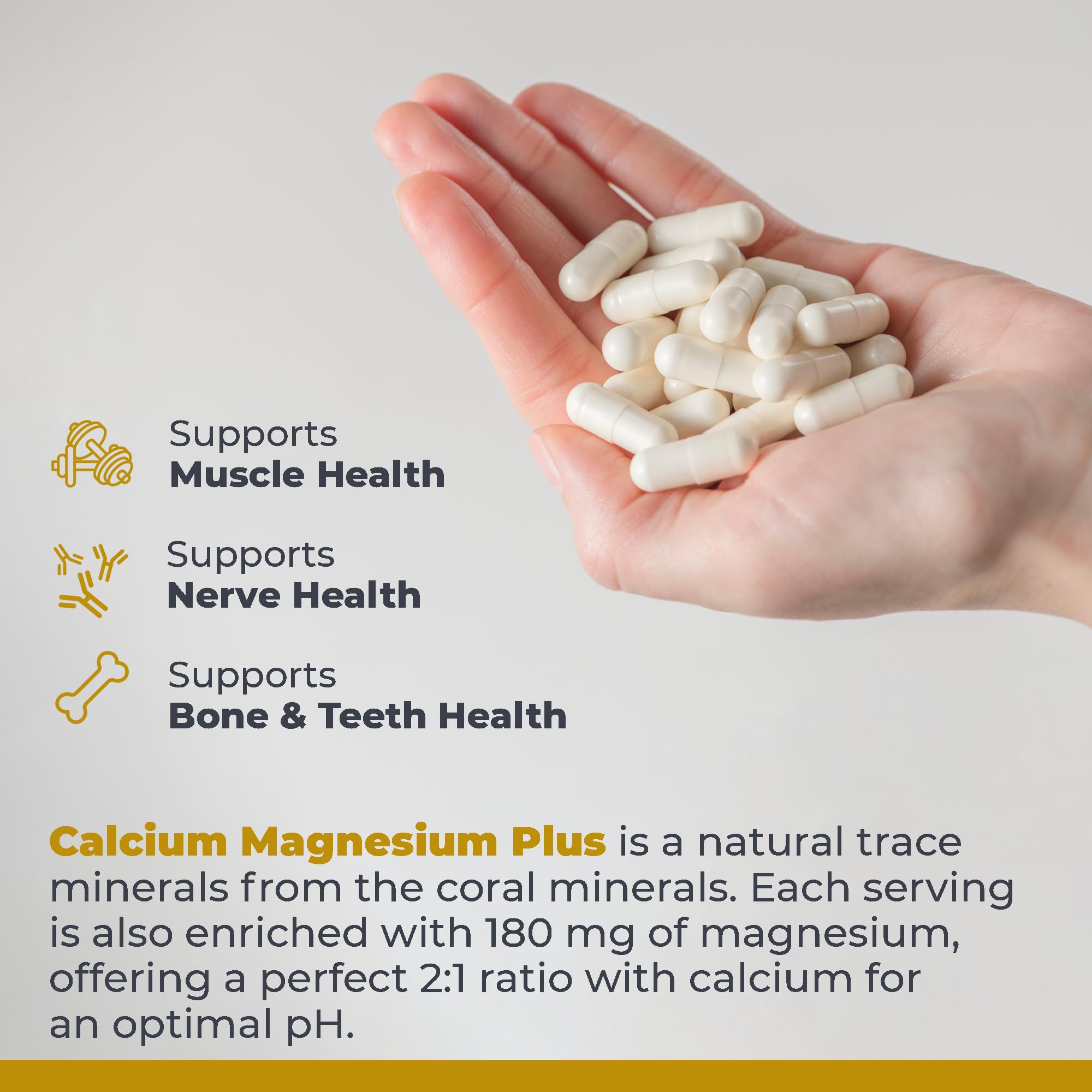 Premier Research Labs Calcium Magnesium Plus - Calcium Magnesium Supplement, Calcium Supplement for Bone Health, with Mushroom Complex - Reishi & Lions Mane - 90 Vegetarian Capsules - TrustMedUSA