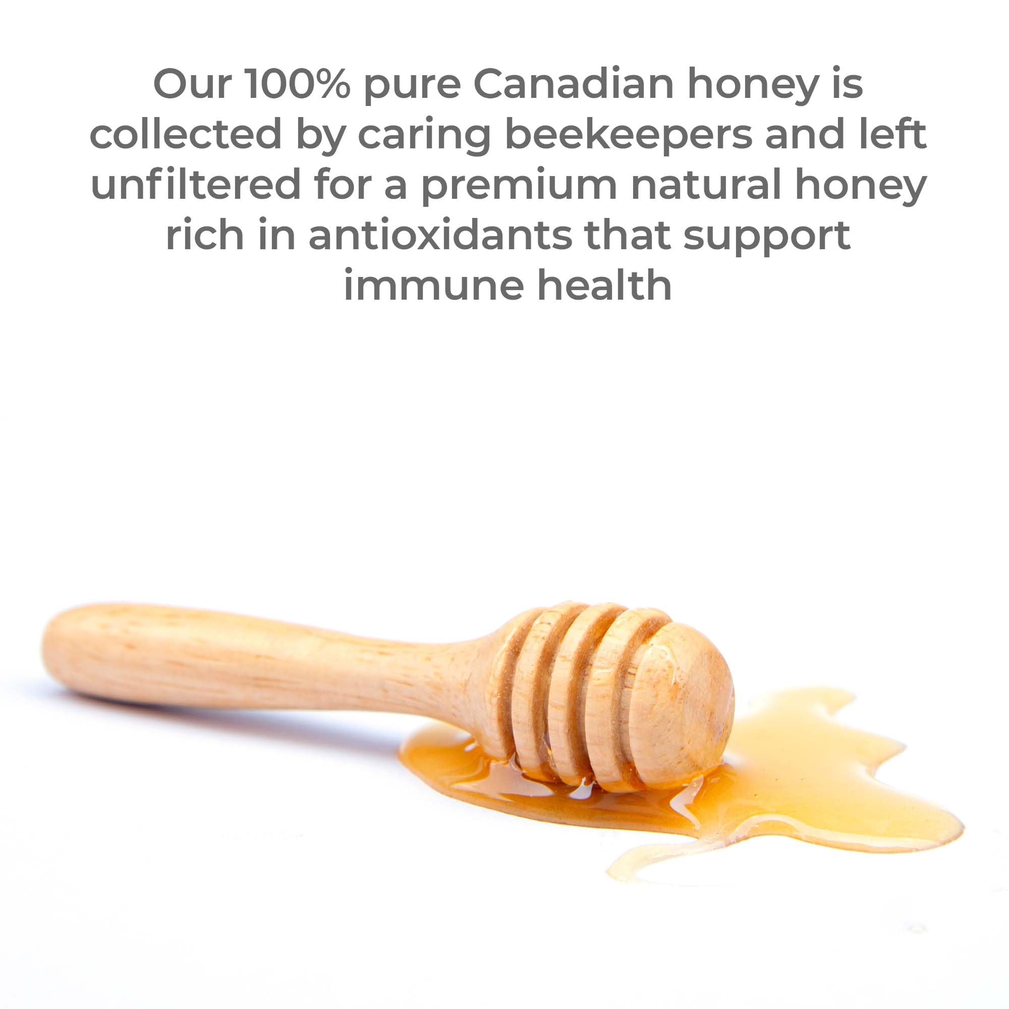 Premier Research Labs Canadian Gold Honey - Raw Honey, Pure Honey, Raw Unpasteurized Honey, Unfiltered, 100% Pure, Sugar-Free, Unprocessed Wildflower Honey - 1 lb Jar - TrustMedUSA