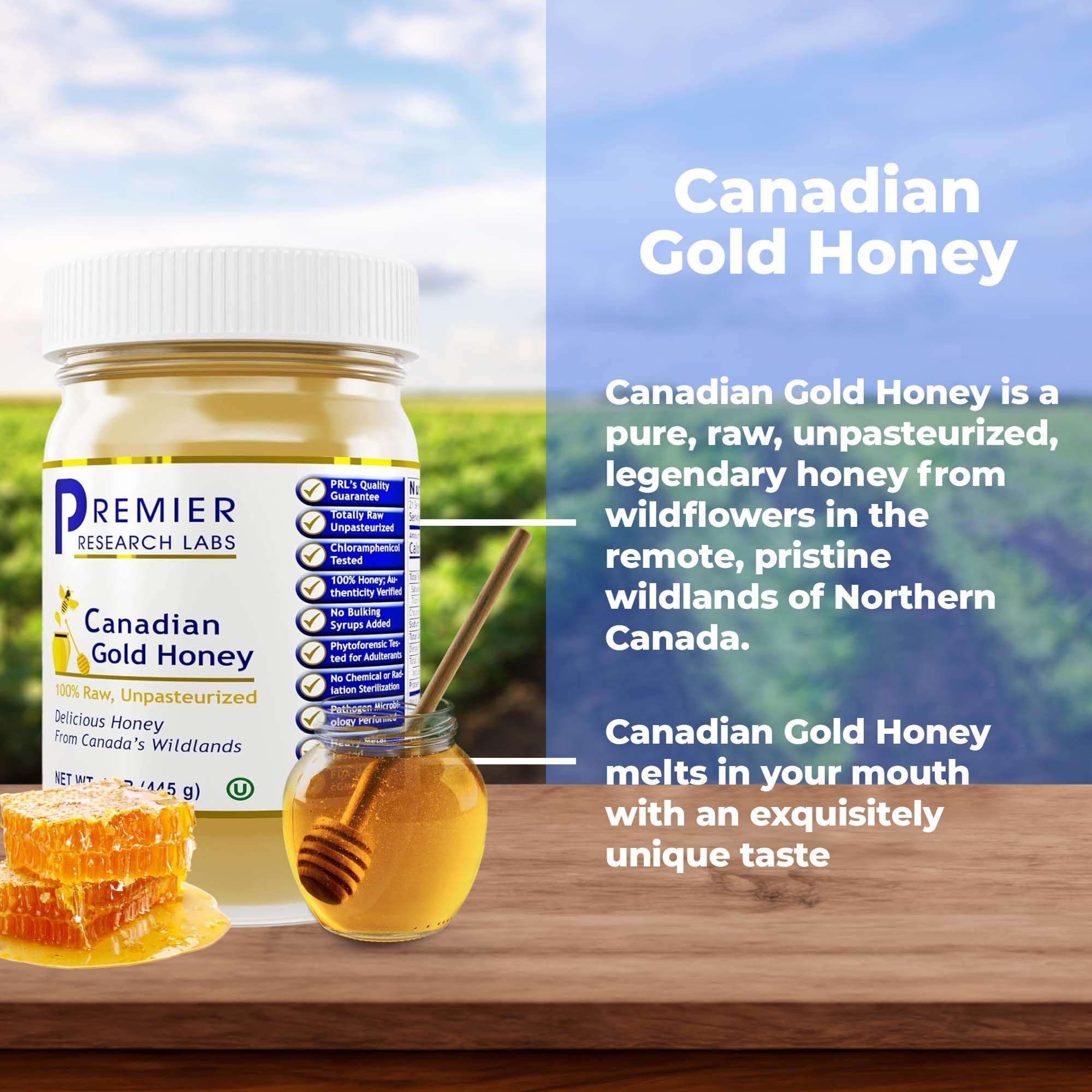 Premier Research Labs Canadian Gold Honey - Raw Honey, Pure Honey, Raw Unpasteurized Honey, Unfiltered, 100% Pure, Sugar-Free, Unprocessed Wildflower Honey - 1 lb Jar - TrustMedUSA