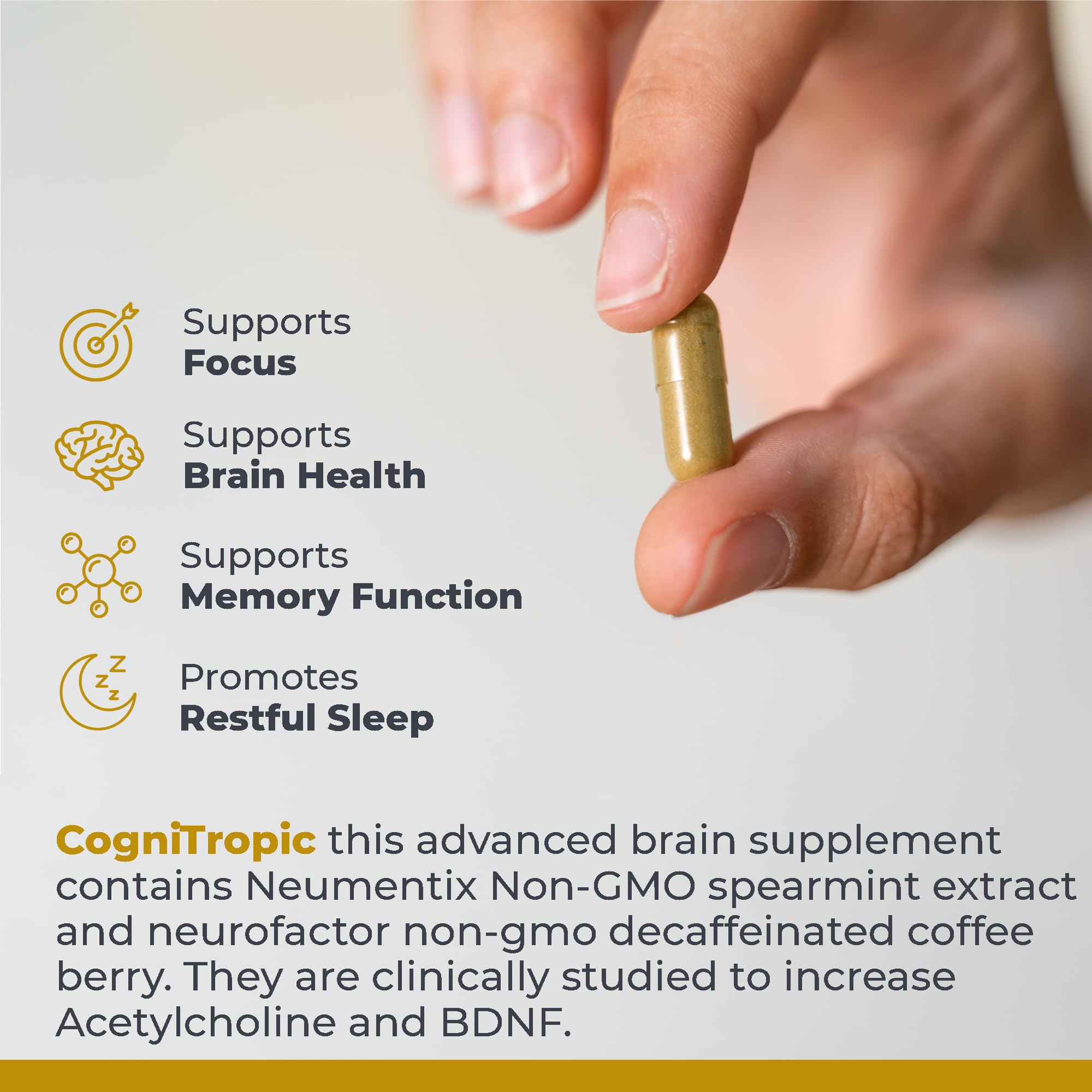 Premier Research Labs Cognitropic - Supplements for Memory and Focus, Focus Supplement, Brain and Memory Power Boost, Clarity Vitamins - TrustMedUSA