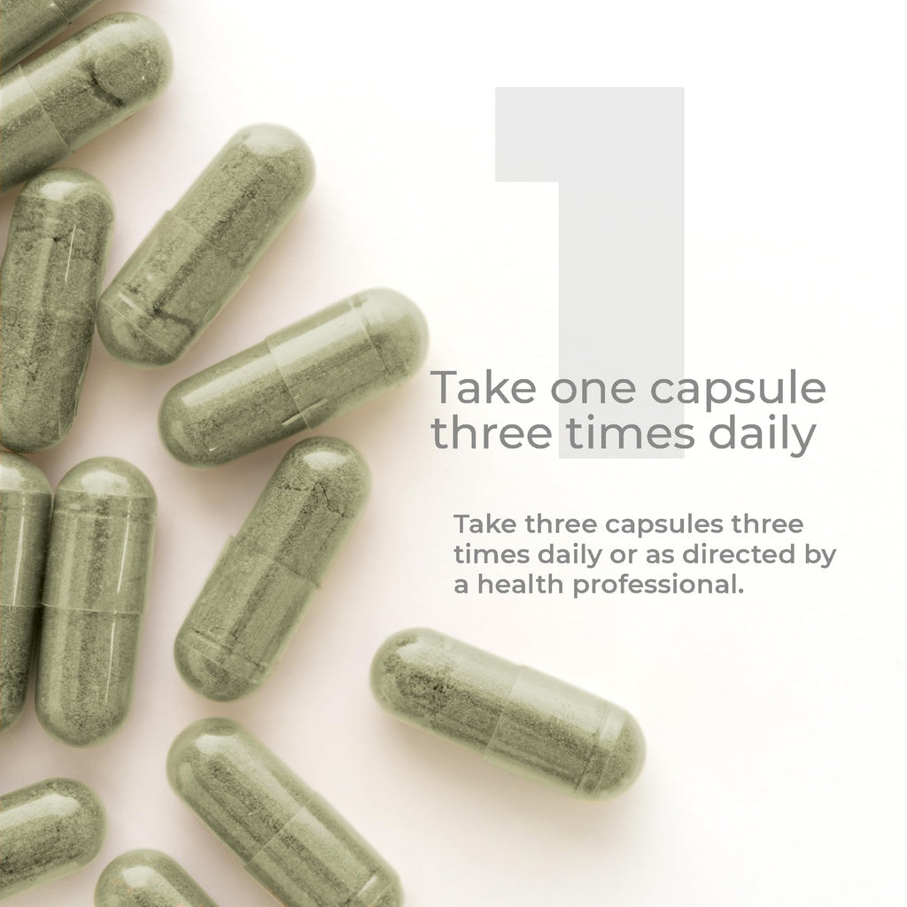 Premier Research Labs Hyssinol - Hyssop Herb, Hyssop Capsules, Wellness Pills with Organic Hyssop Dry Herb, Dietary Supplement with Green Tea, Antioxidant Support - 60 Vegetarian Capsules - TrustMedUSA