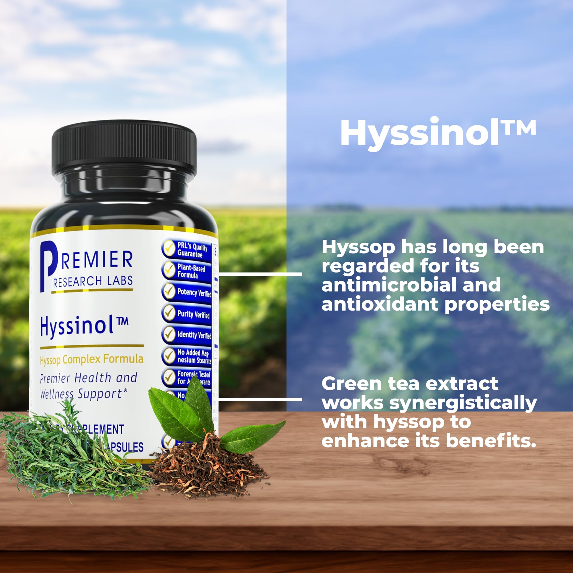 Premier Research Labs Hyssinol - Hyssop Herb, Hyssop Capsules, Wellness Pills with Organic Hyssop Dry Herb, Dietary Supplement with Green Tea, Antioxidant Support - 60 Vegetarian Capsules - TrustMedUSA
