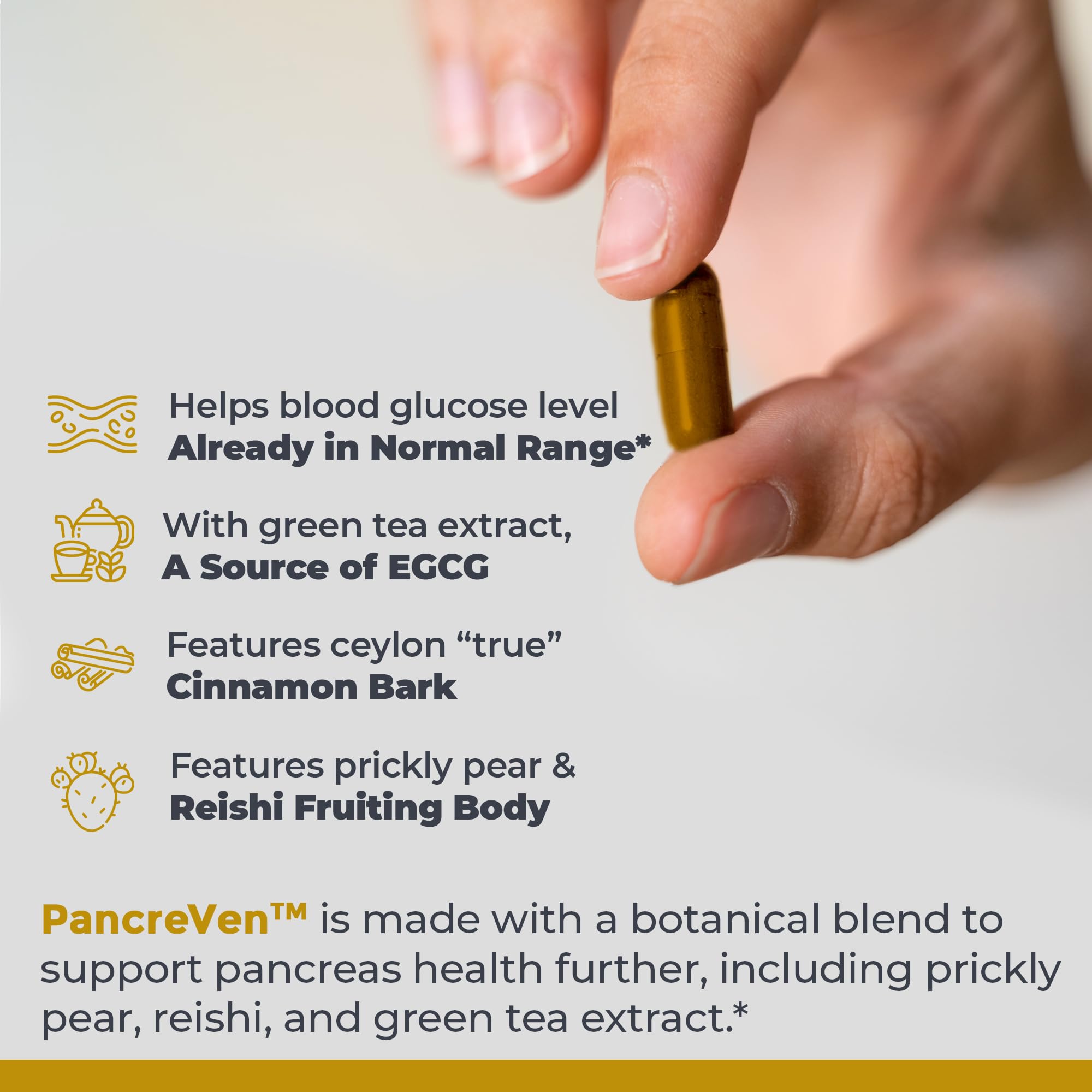 Premier Research Labs PancreVen - Pancreas Support, Pancreas Supplement, Cinnamon Supplements with Organic Ceylon Cinnamon & Prickly Pear to Aid Pancreas Health - 120 Vegetarian Capsules - TrustMedUSA