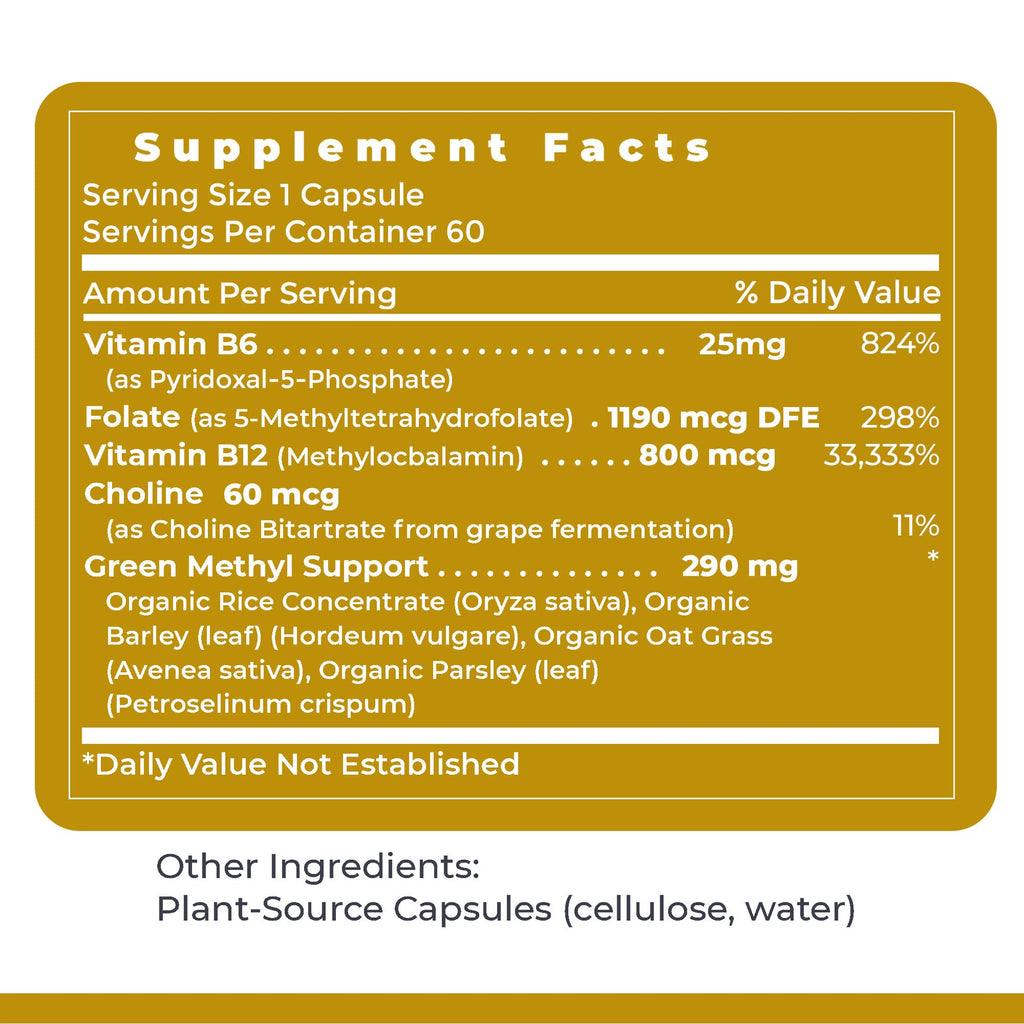 Premier Research Labs Phyto Methylate - B Vitamin Supplement - Supports Methylation, Detox, Brain & Heart Health - 5-MTHF & P5P - 60 Plant-Source Capsules - TrustMedUSA